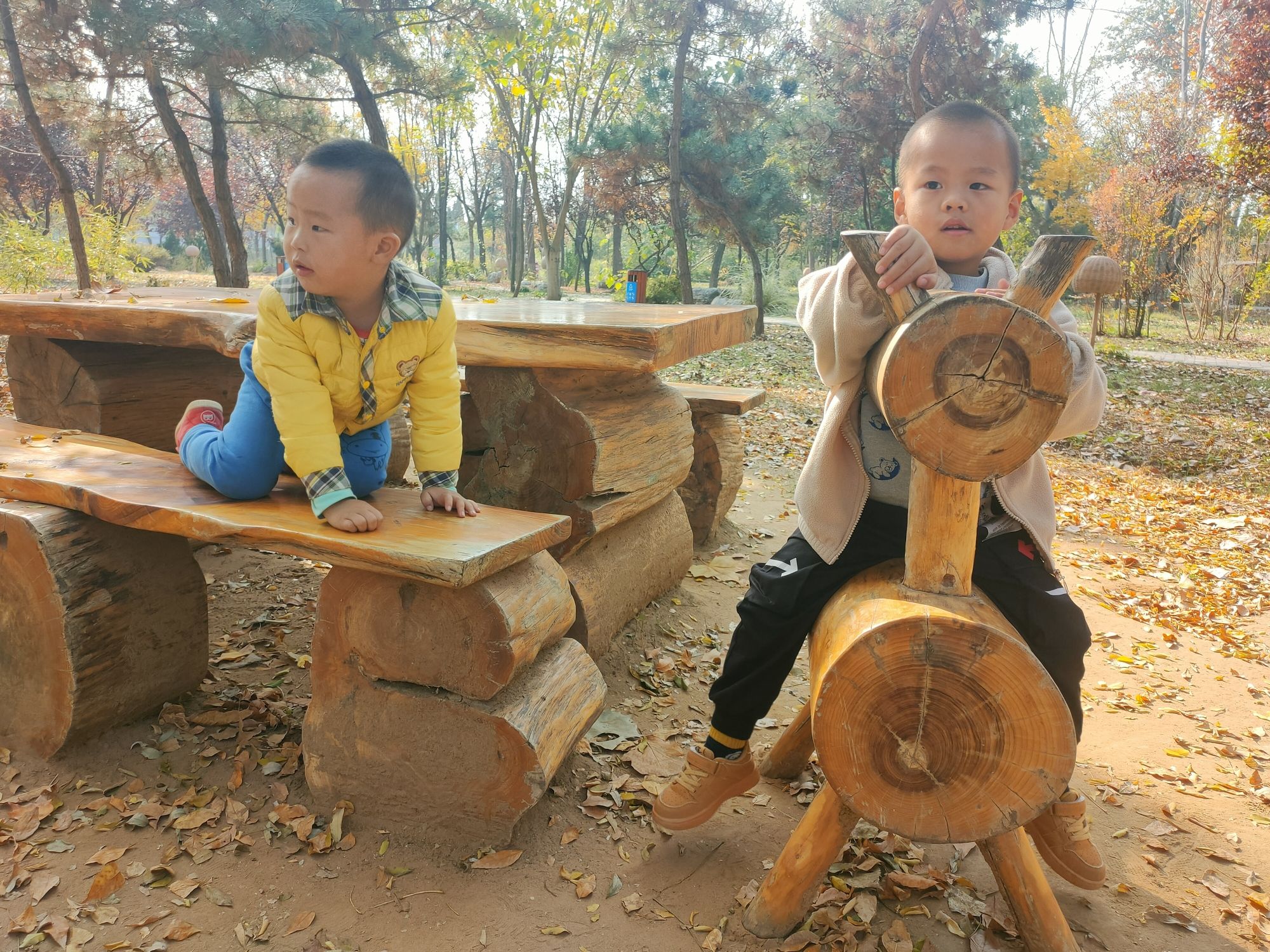 隅园旅行图片 1