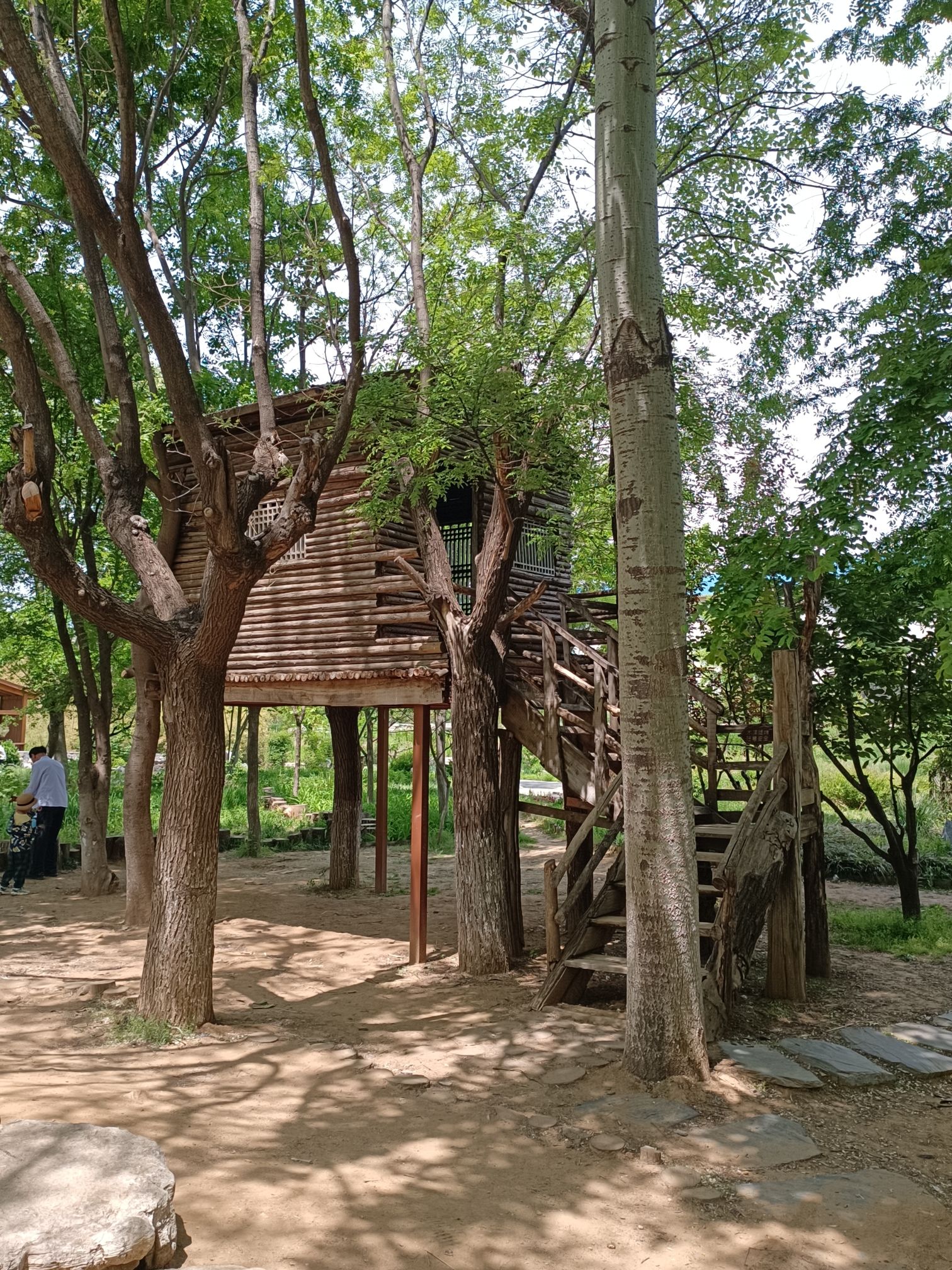 隅园旅行图片 3