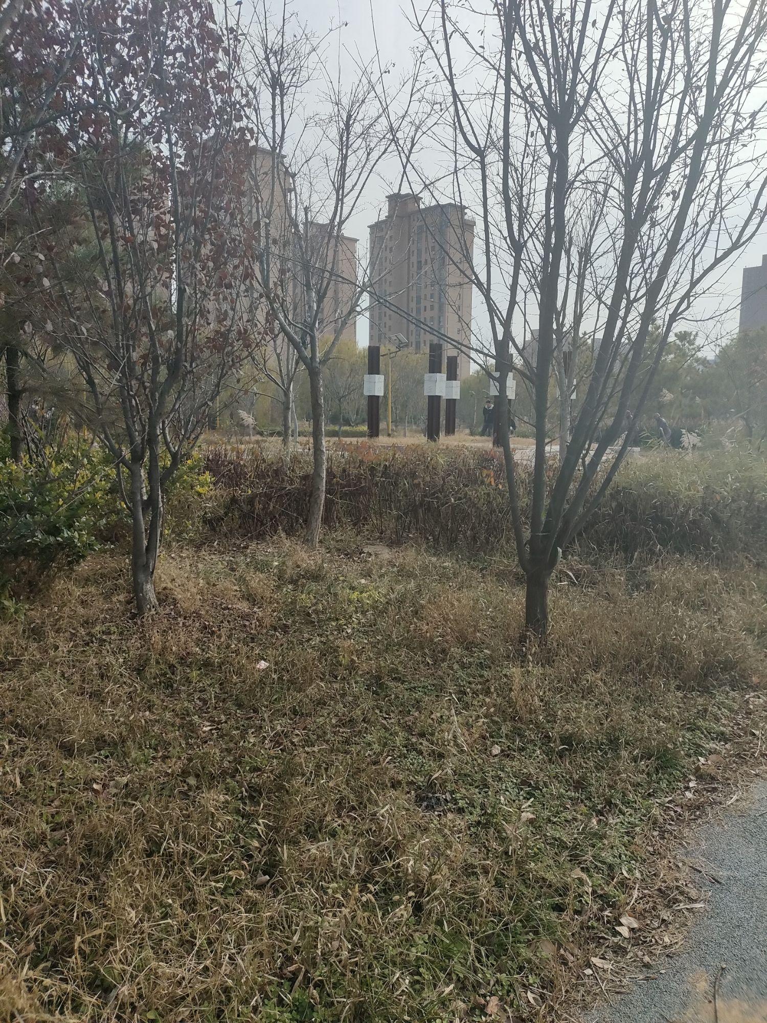老君台旅行图片 1