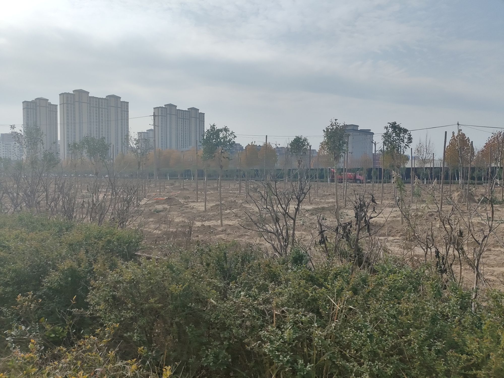 老君台旅行图片 2