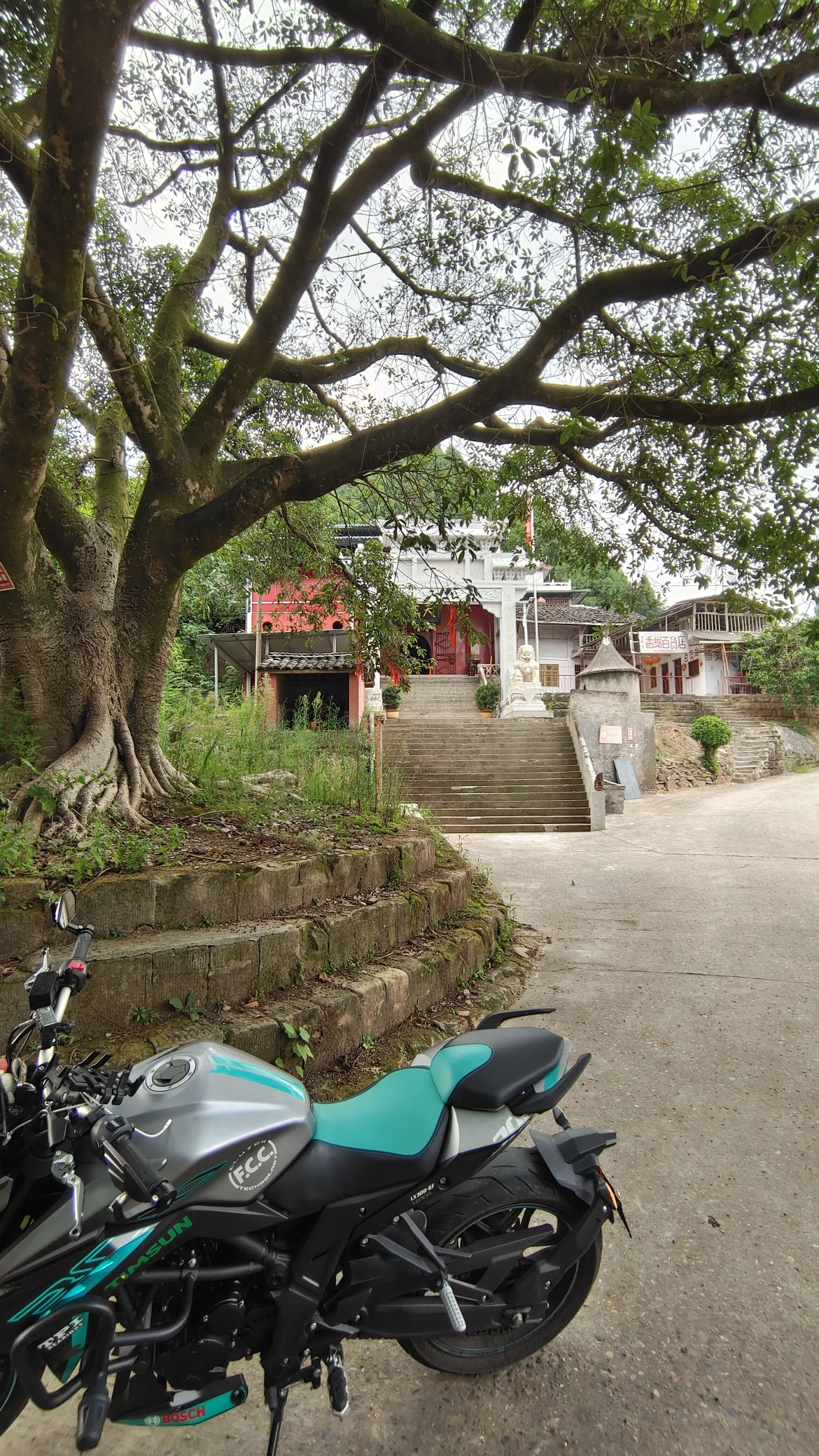 圆通宝殿实景照片