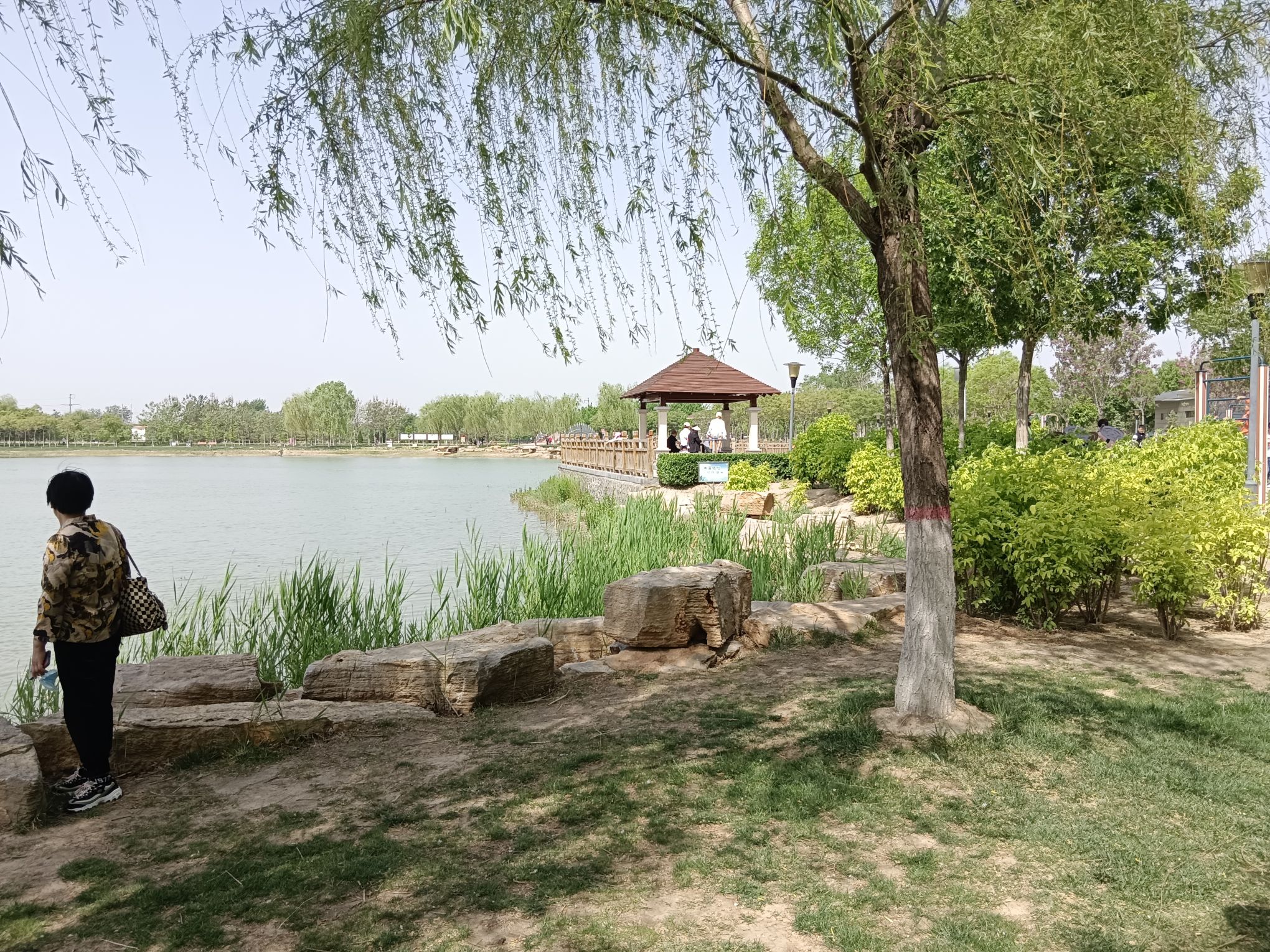 任丘市植物园旅行图片 2