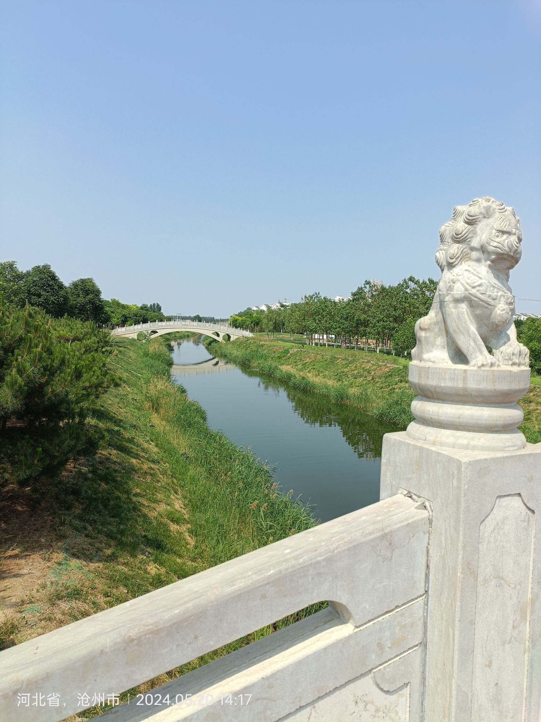 任丘市植物园旅行图片 3