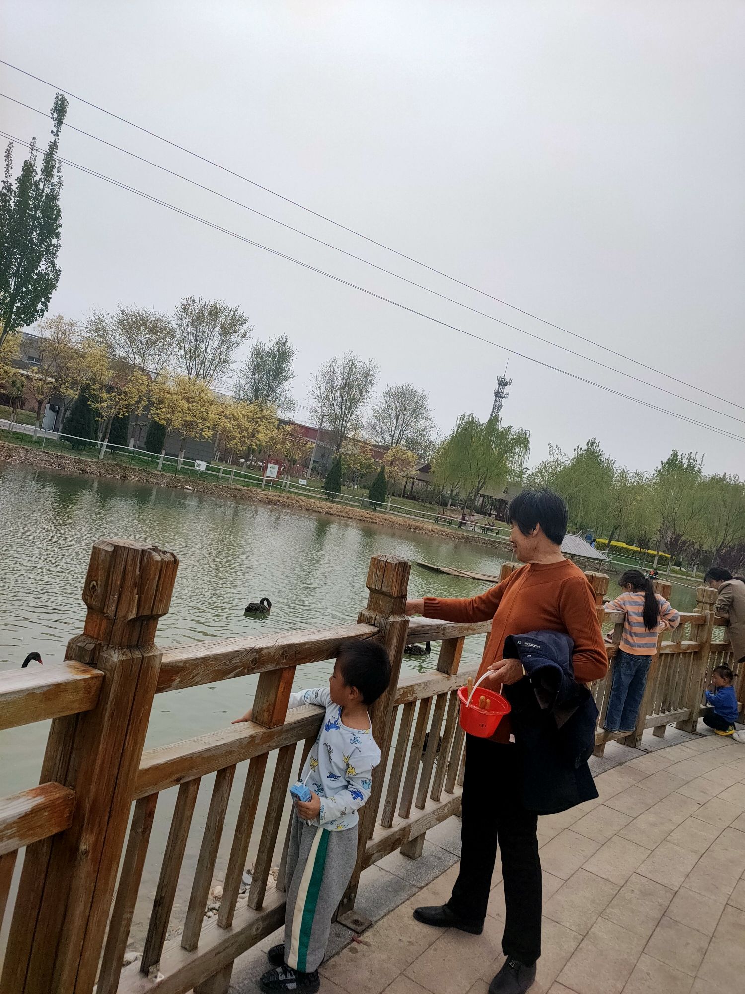 任丘市植物园旅行图片 1