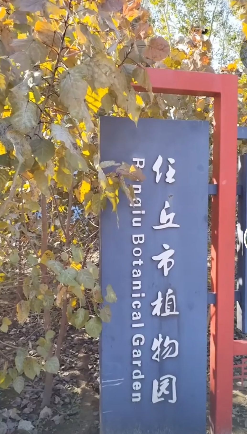 任丘市植物园旅行图片 1