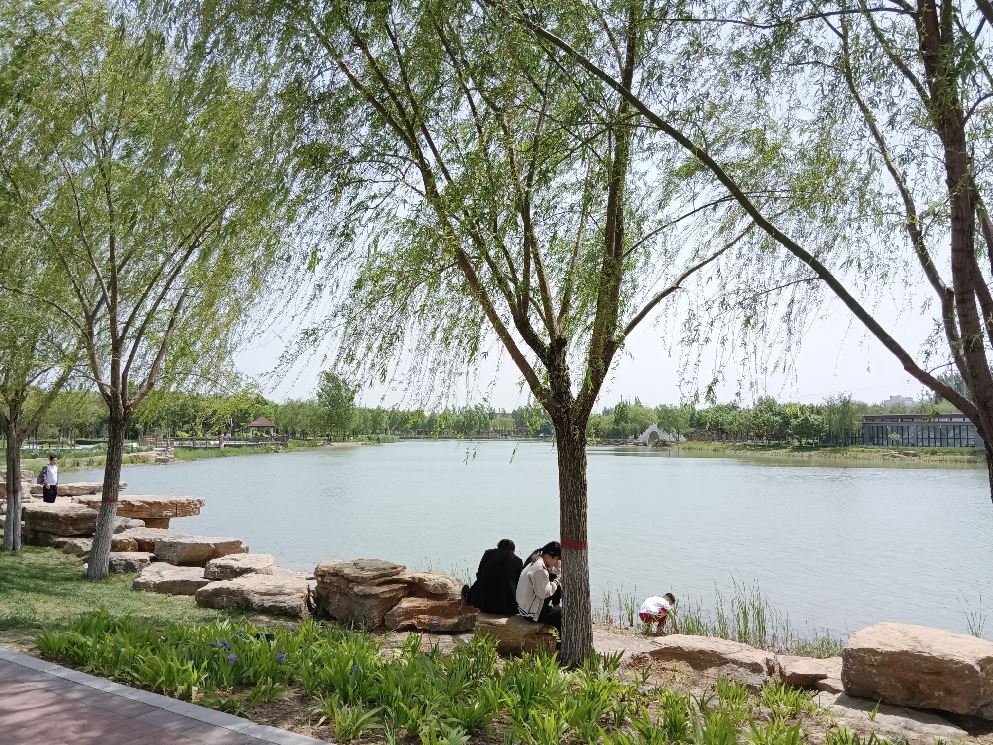 任丘市植物园旅行图片 3