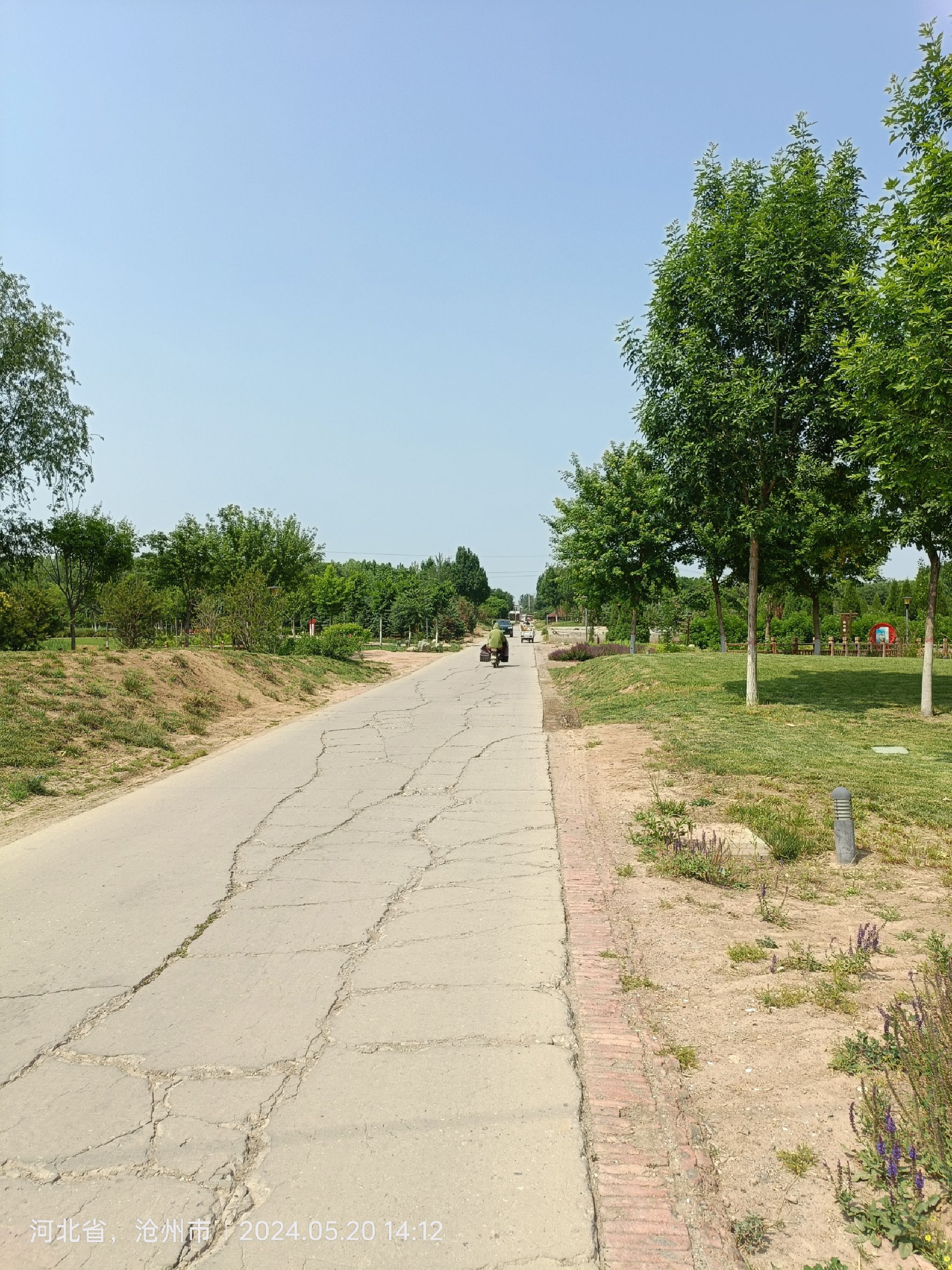 任丘市植物园旅行图片 1