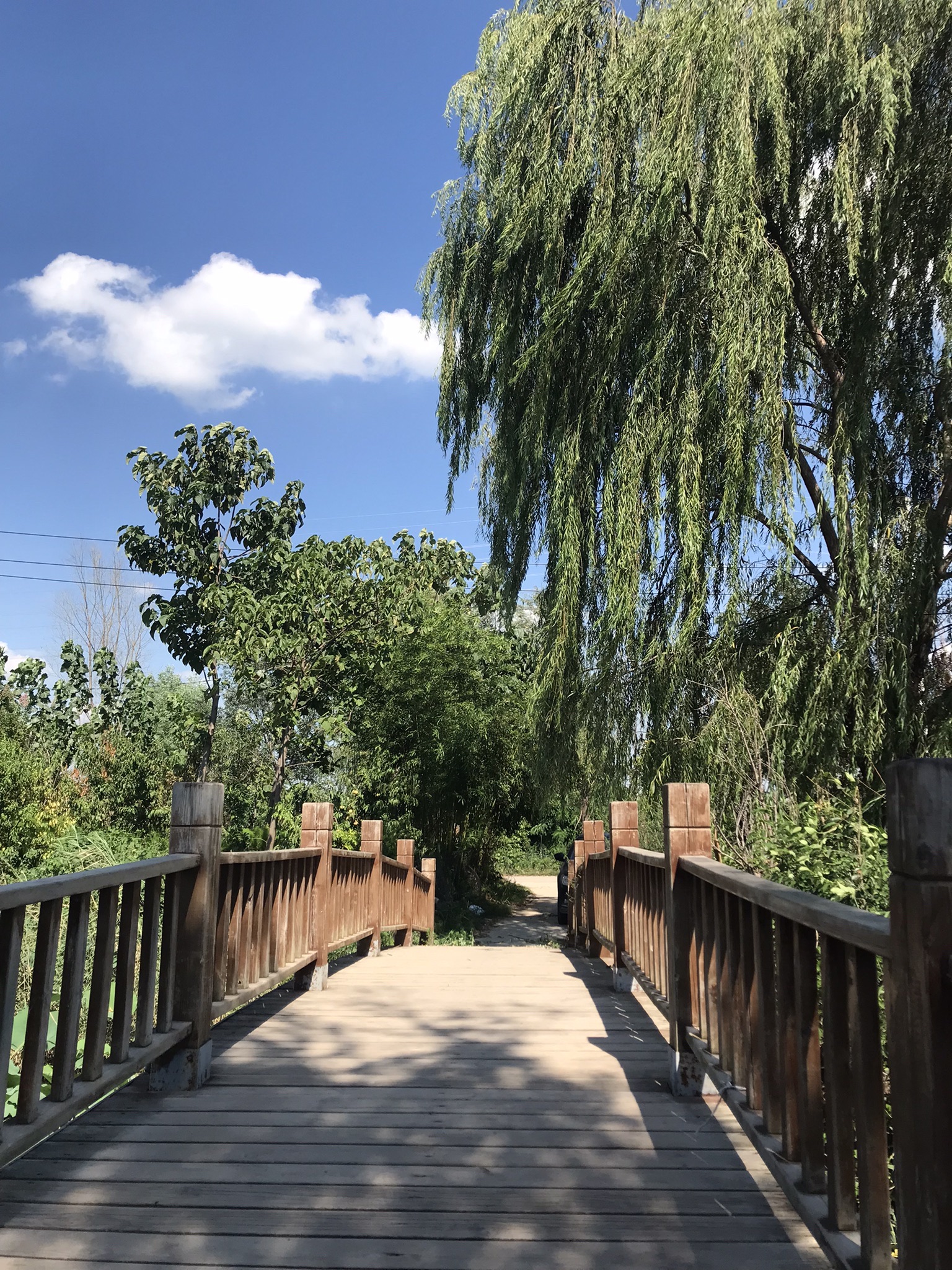 杨庄公园旅行图片 2