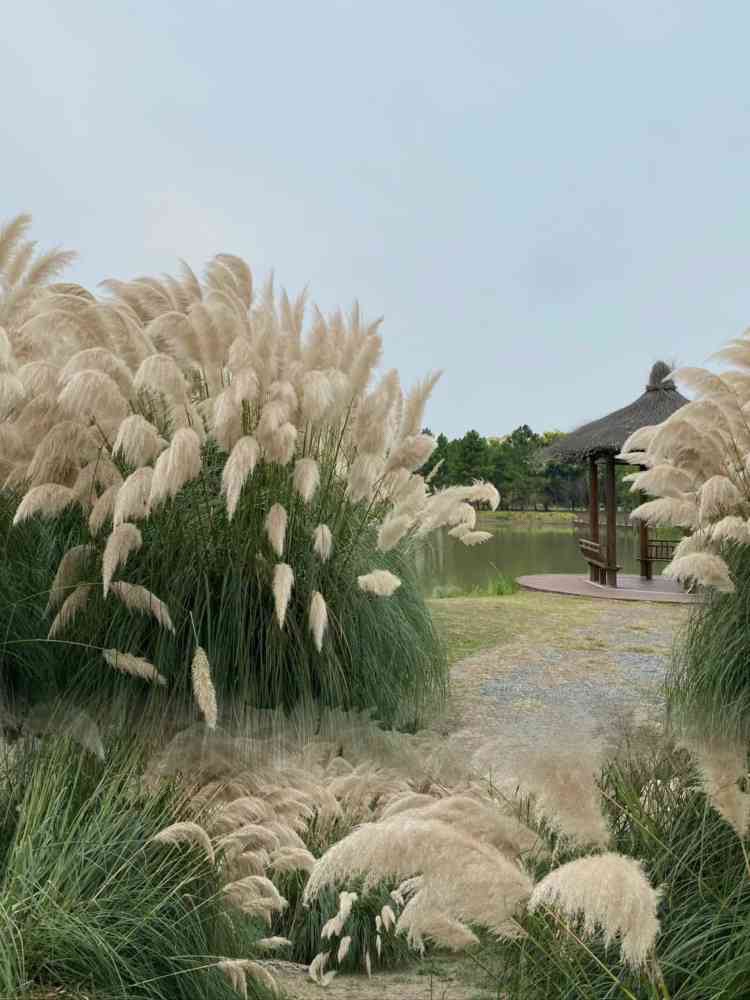 珠湖小镇旅行图片 2