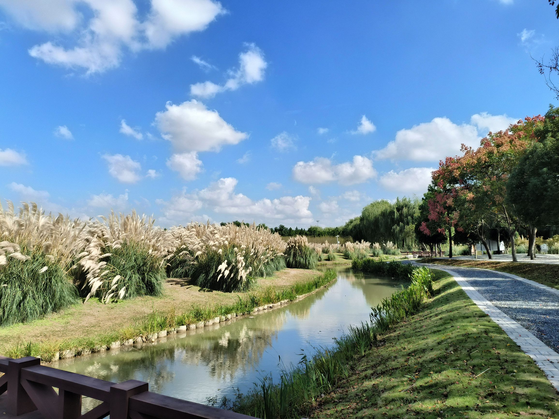 珠湖小镇旅行图片 1