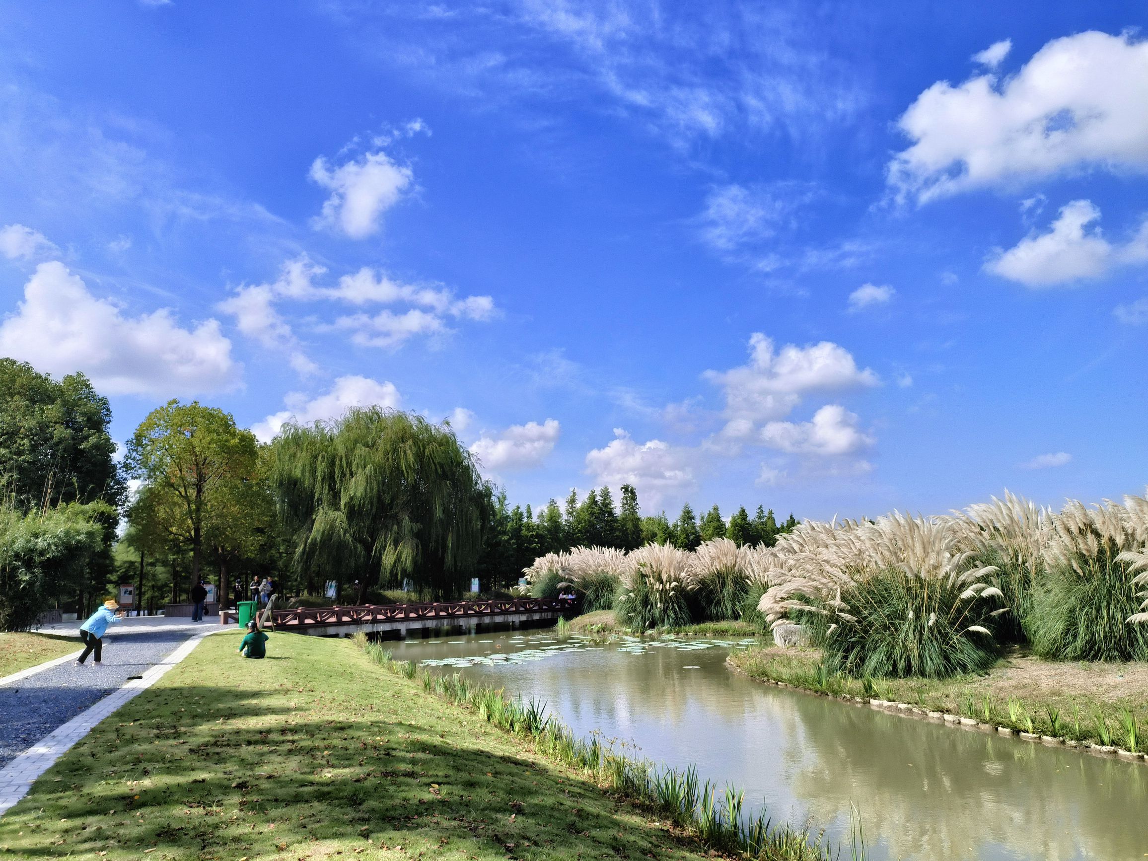 珠湖小镇旅行图片 2