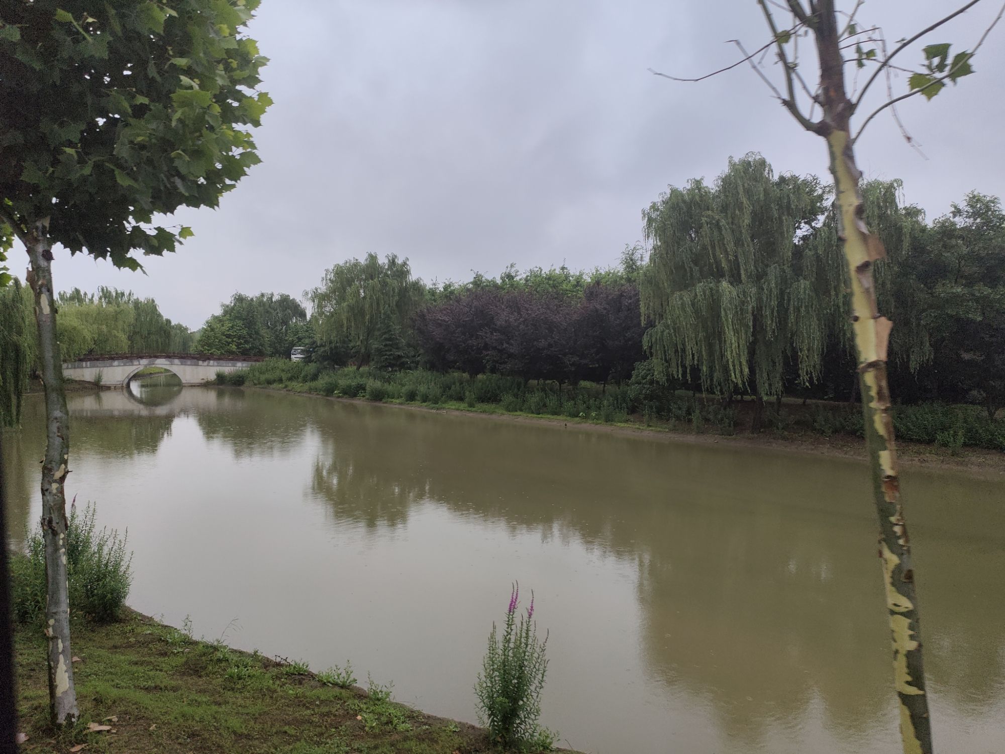 珠湖小镇旅行图片 3