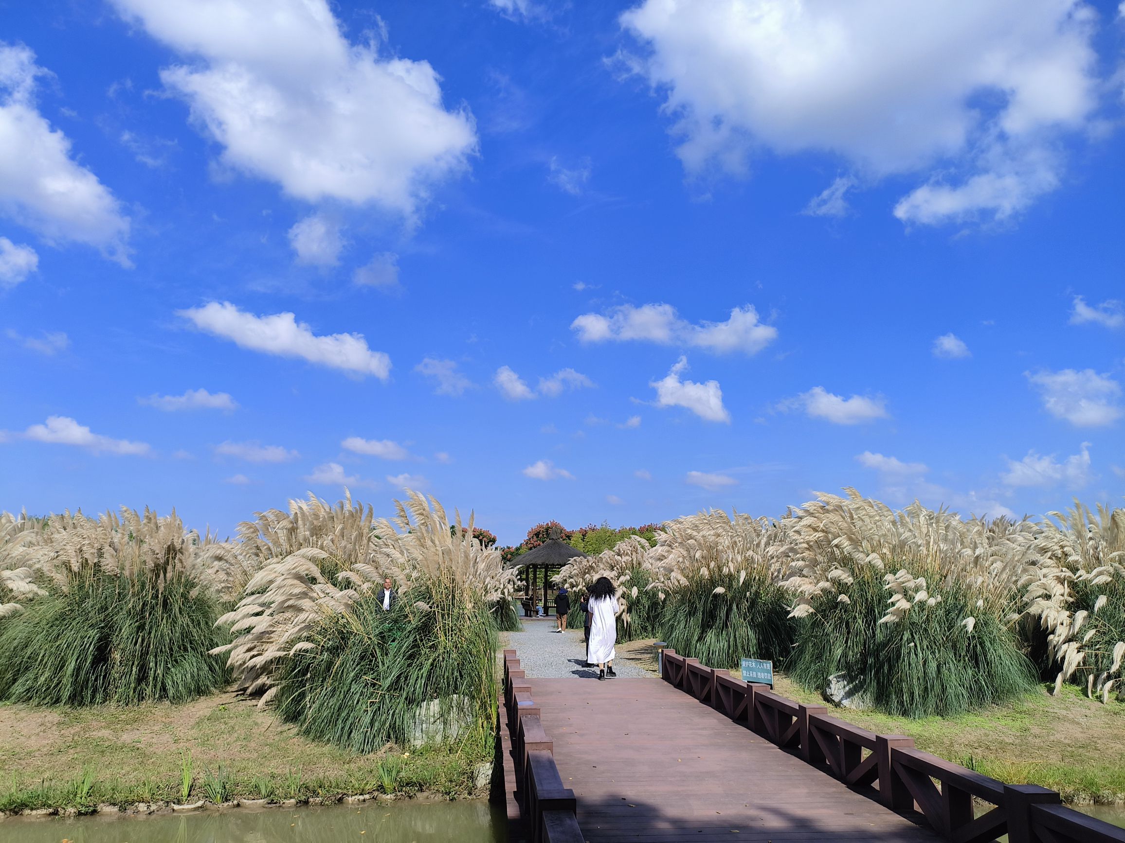 珠湖小镇旅行图片 3