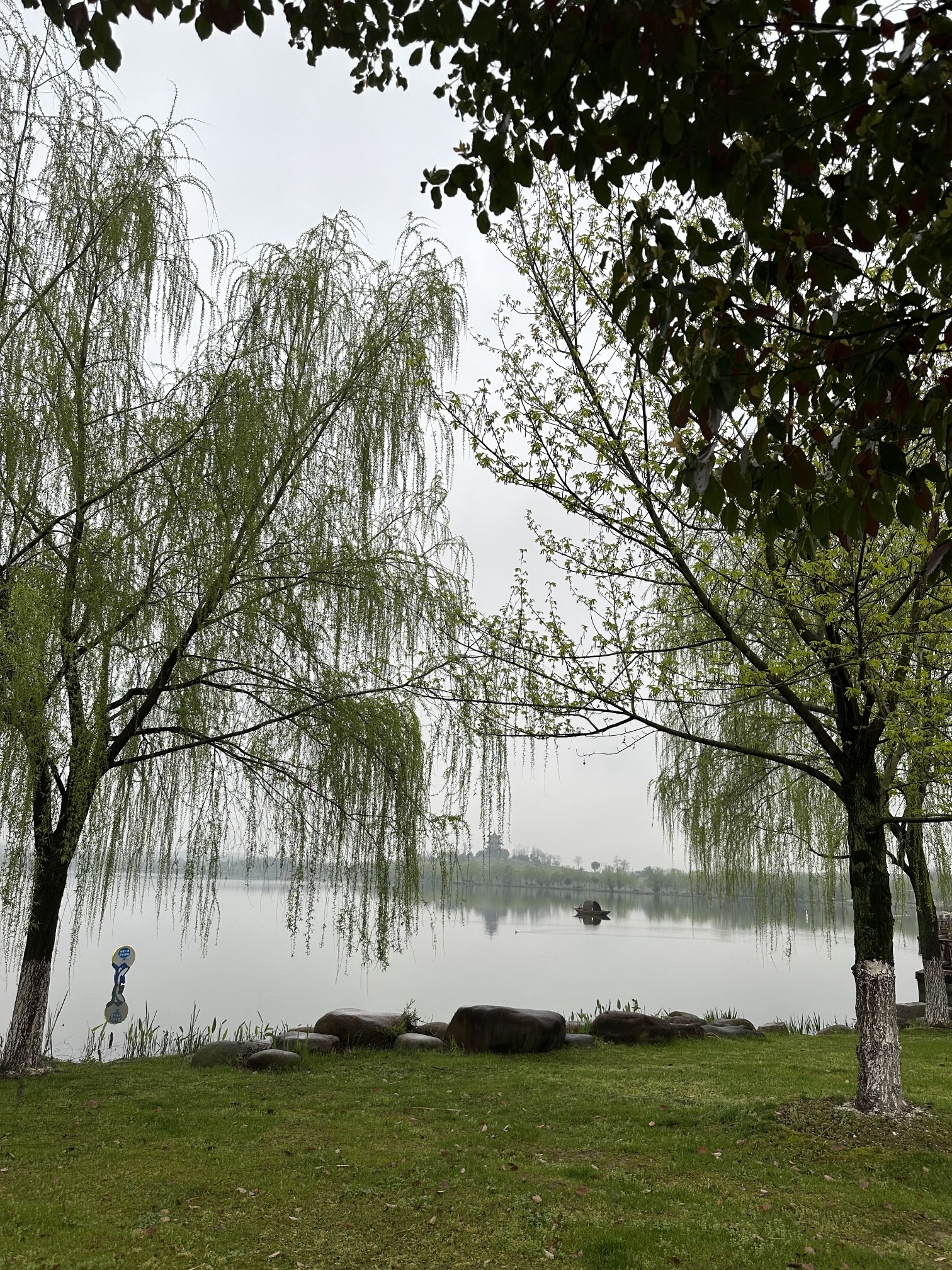 青阳花海旅行图片 3
