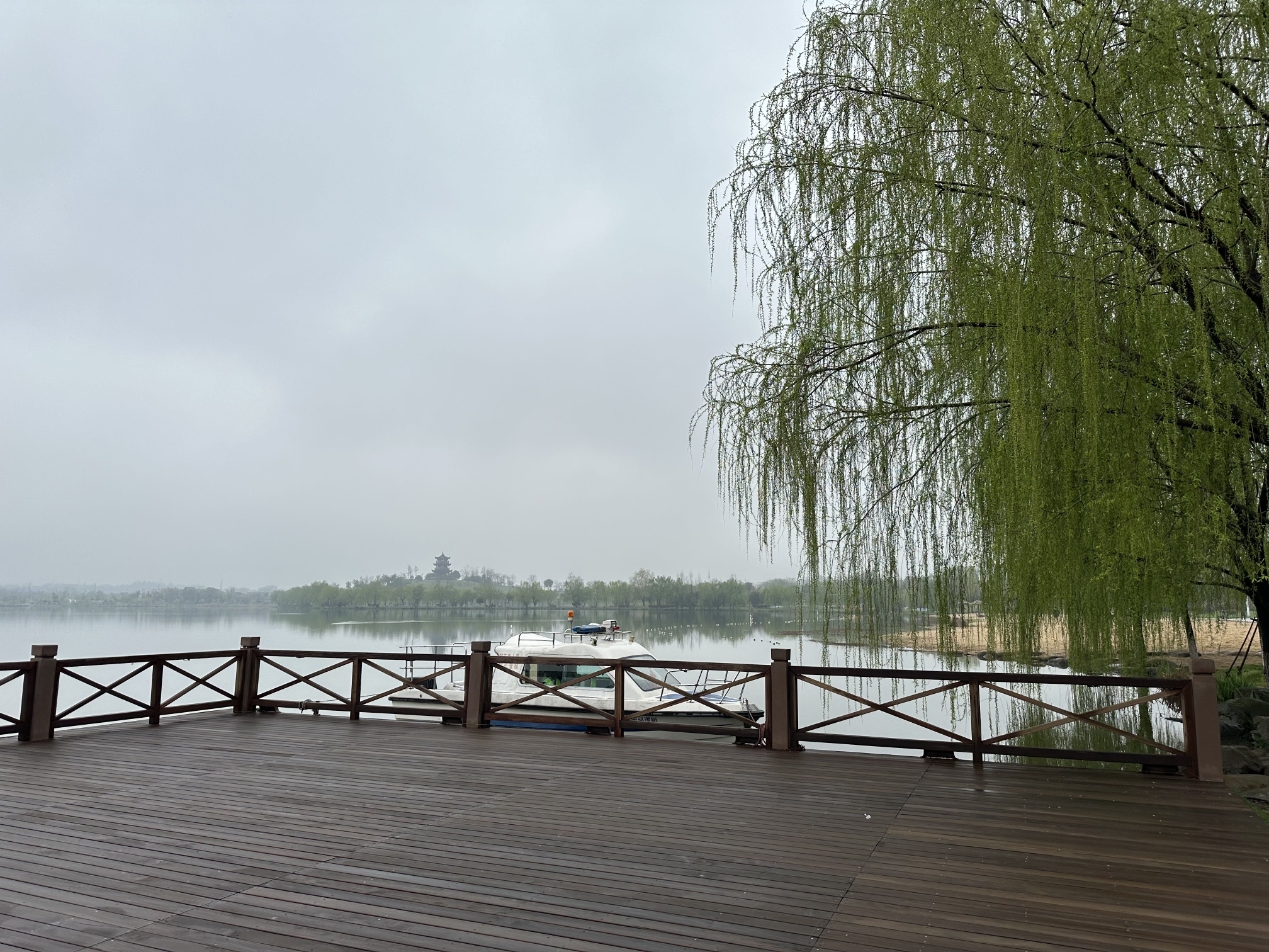 青阳花海旅行图片 1