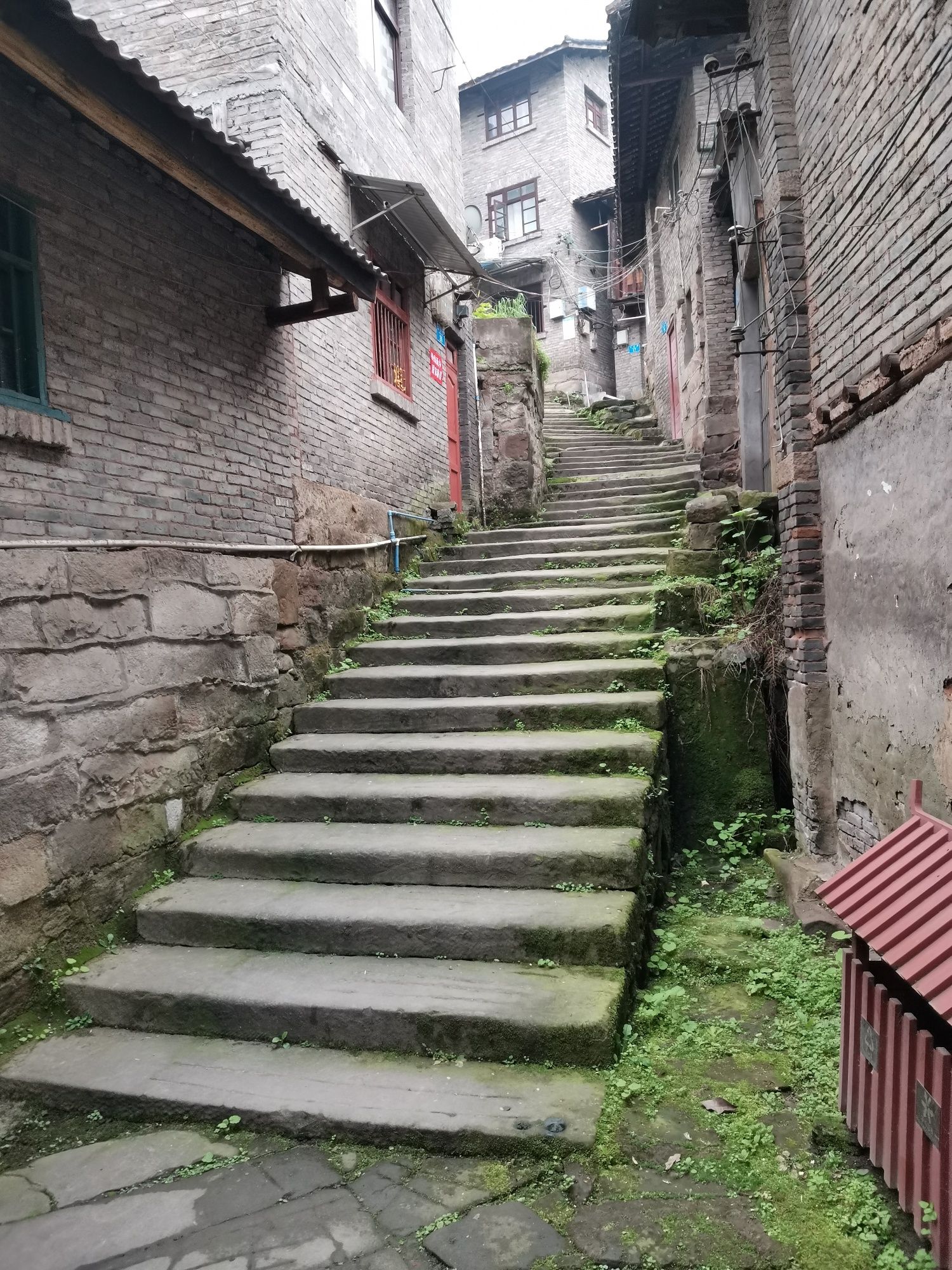 气死莫告状旅行图片 3