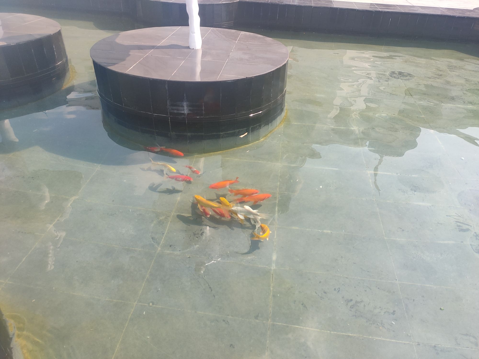 大沙河生态湿地公园旅行图片 1