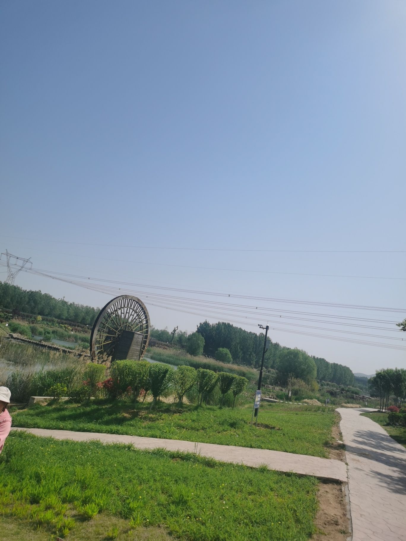 大沙河生态湿地公园旅行图片 1