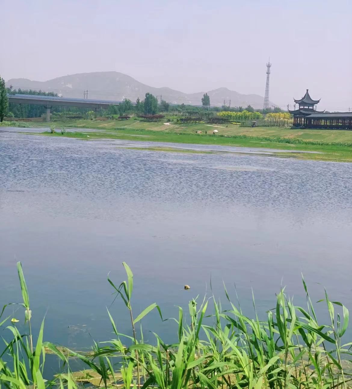 大沙河生态湿地公园旅行图片 1