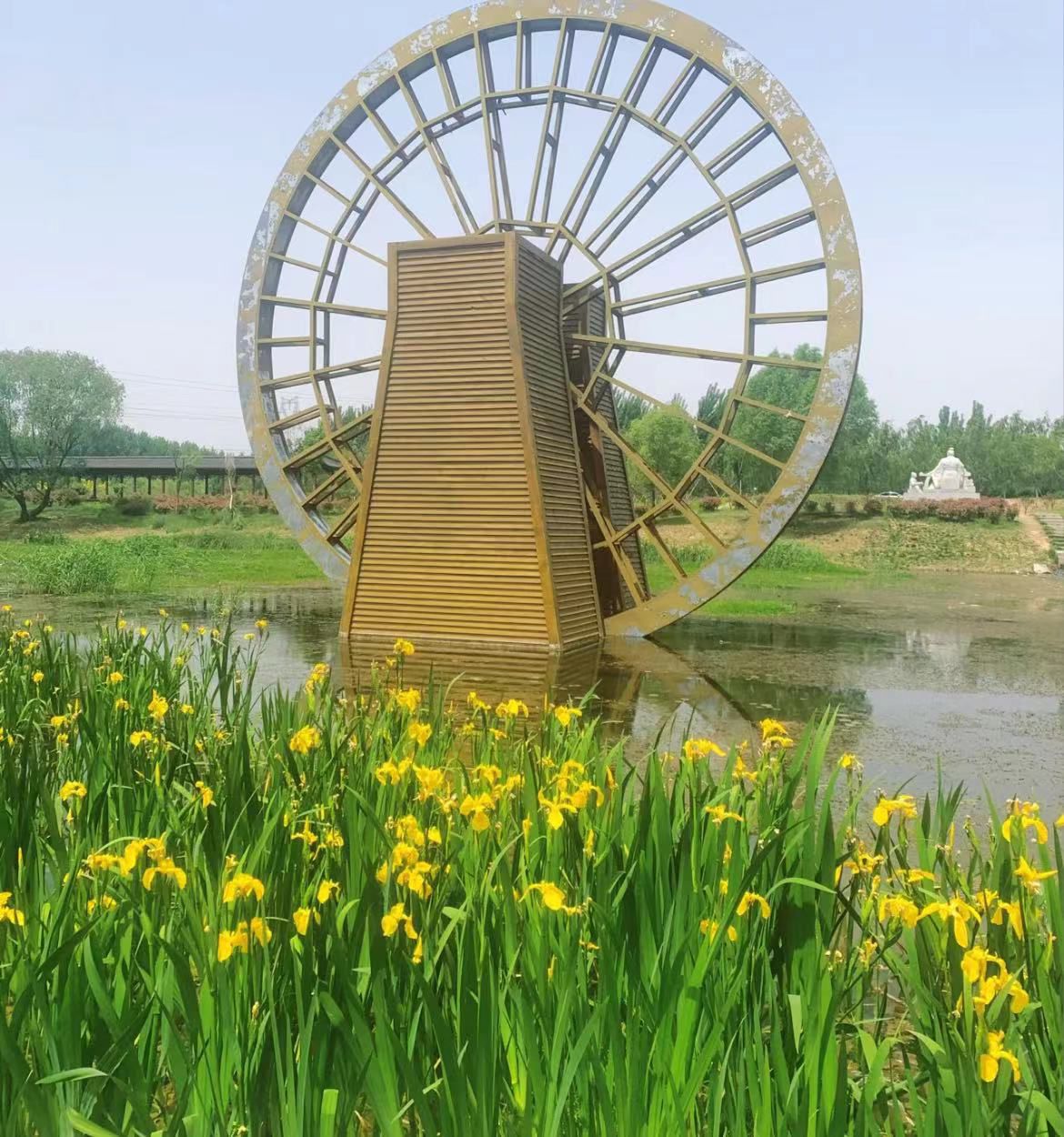 大沙河生态湿地公园旅行图片 3