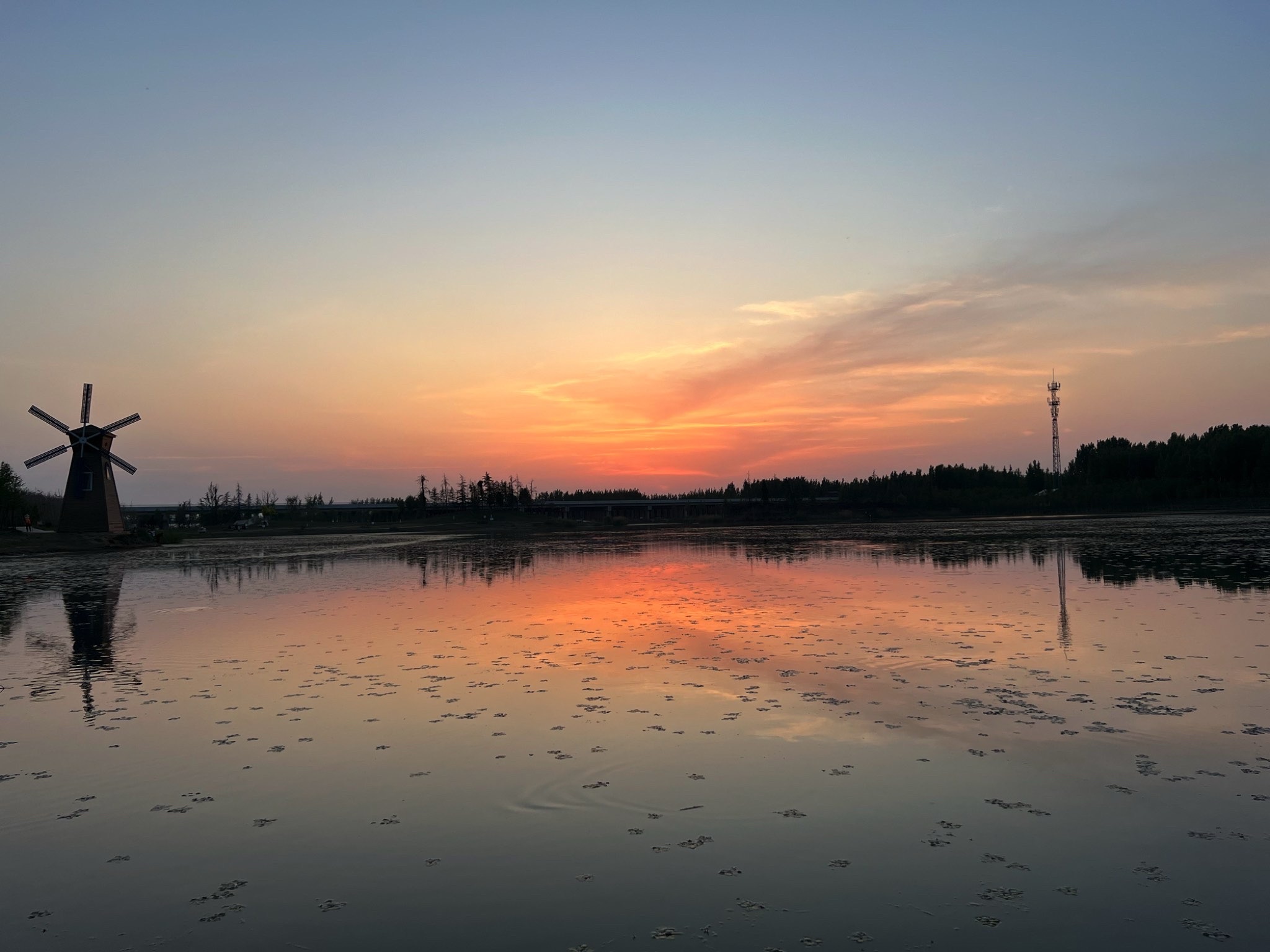 大沙河生态湿地公园旅行图片 1