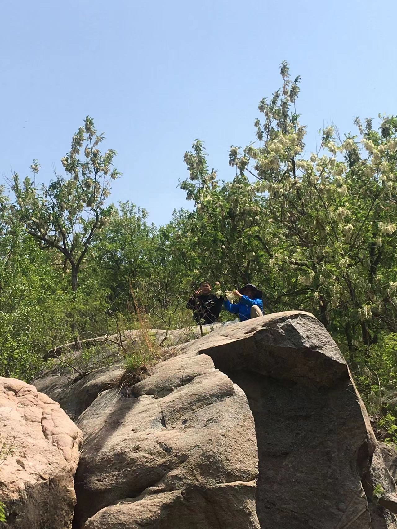 五龙河景区旅行图片 3
