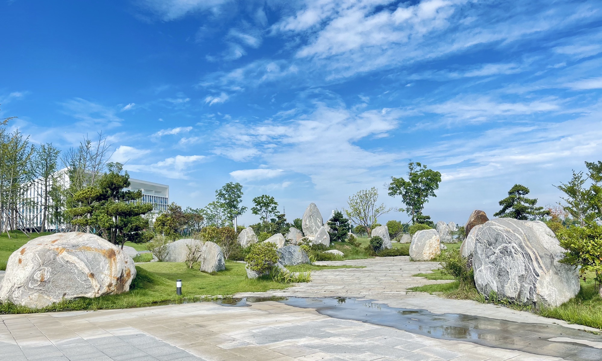 泉水湖-湿地公园