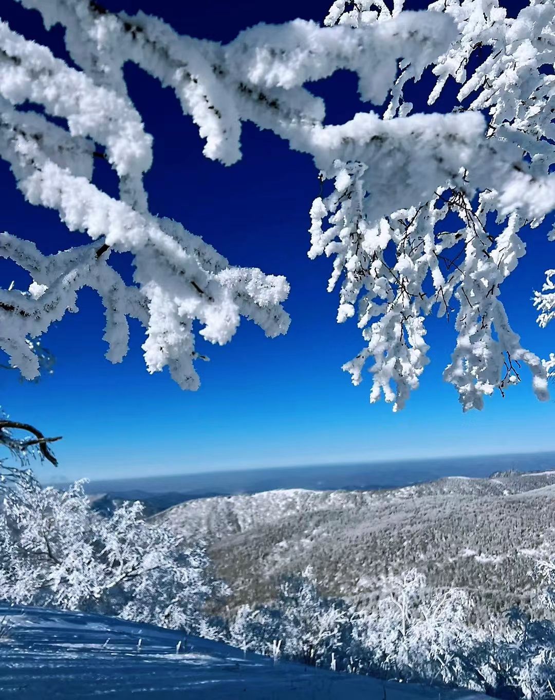 中国雪谷雾凇岭景区旅行图片 3