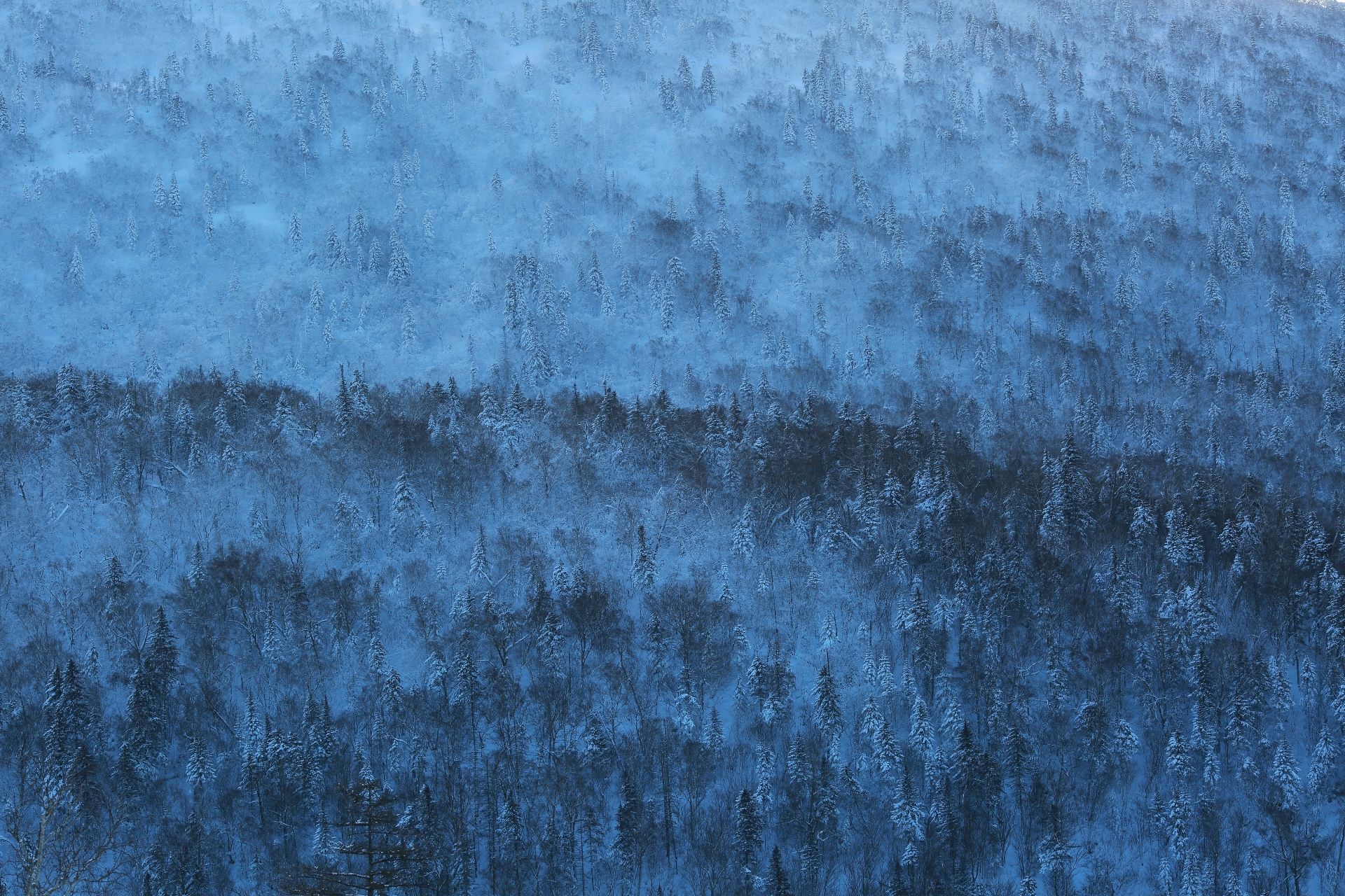 中国雪谷雾凇岭景区旅行图片 1