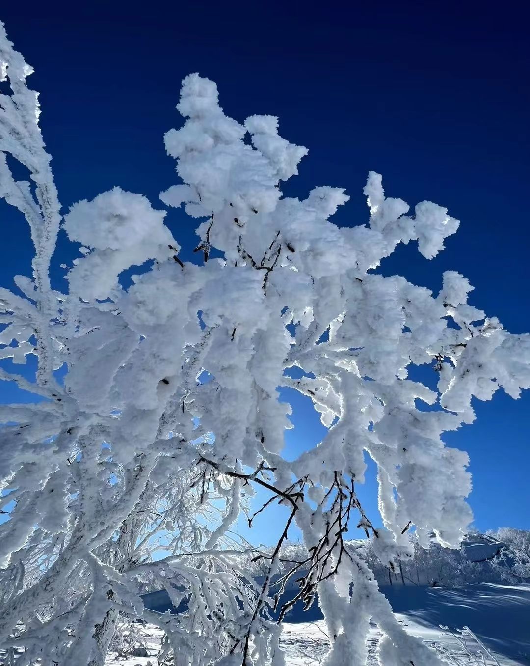 中国雪谷雾凇岭景区旅行图片 1