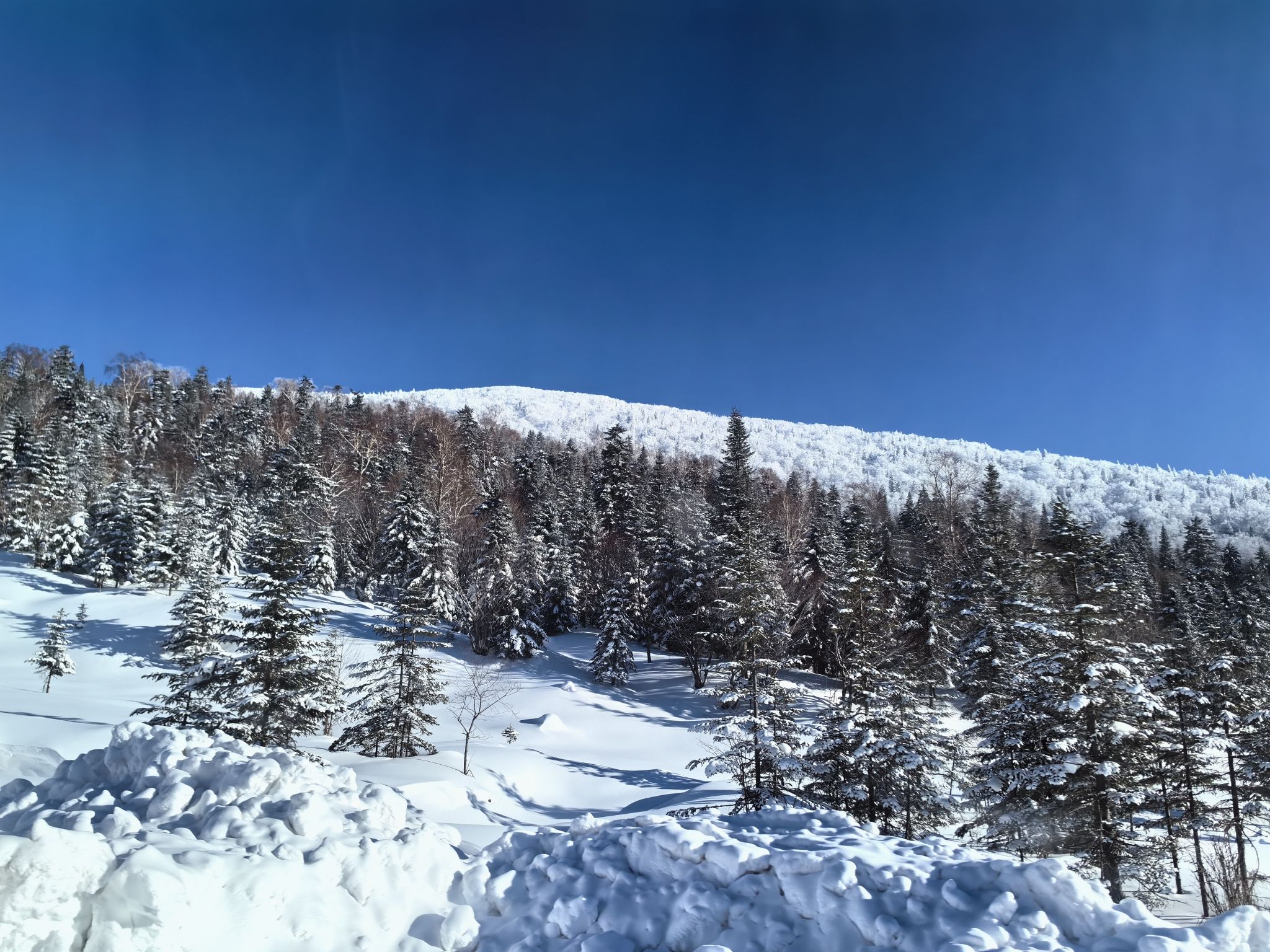中国雪谷雾凇岭景区旅行图片 2