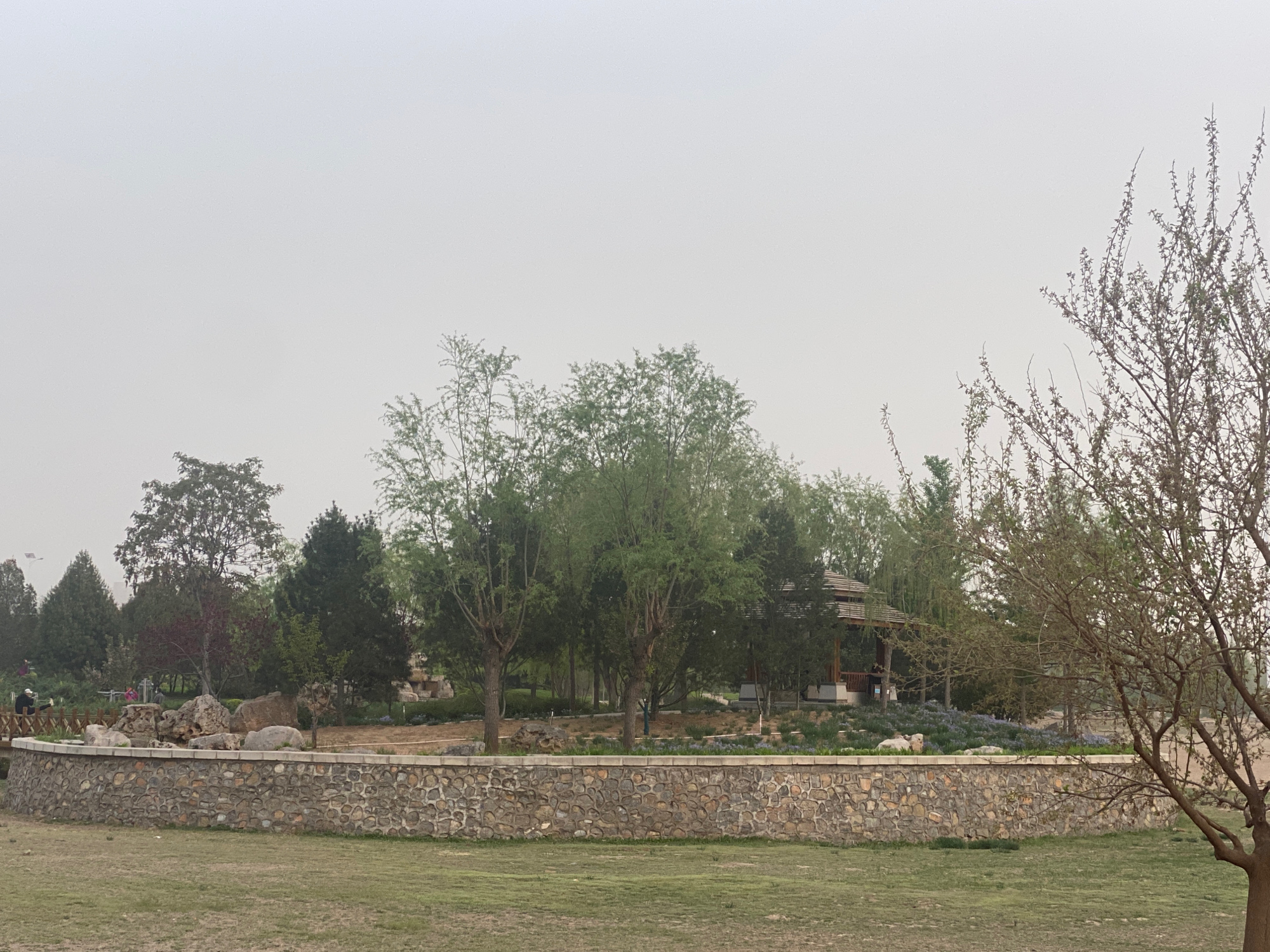 滨湖公园旅行图片 3
