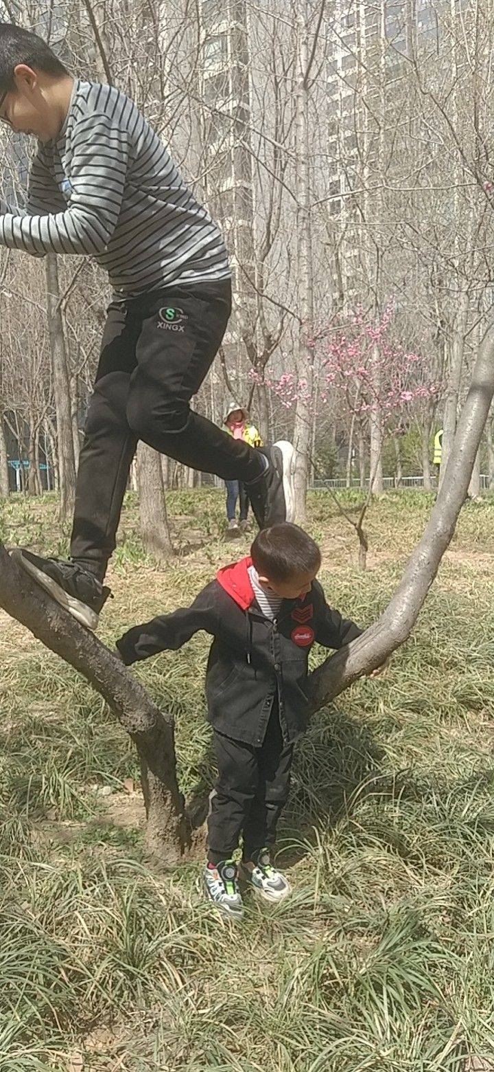 滨湖公园旅行图片 3