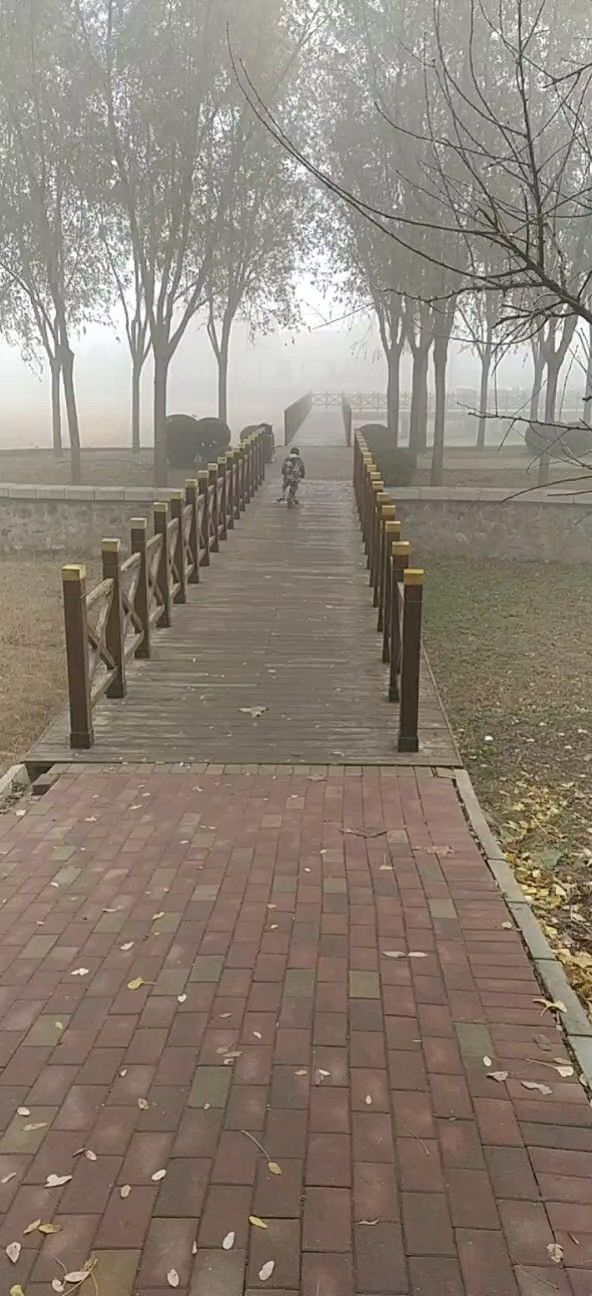 滨湖公园旅行图片 1