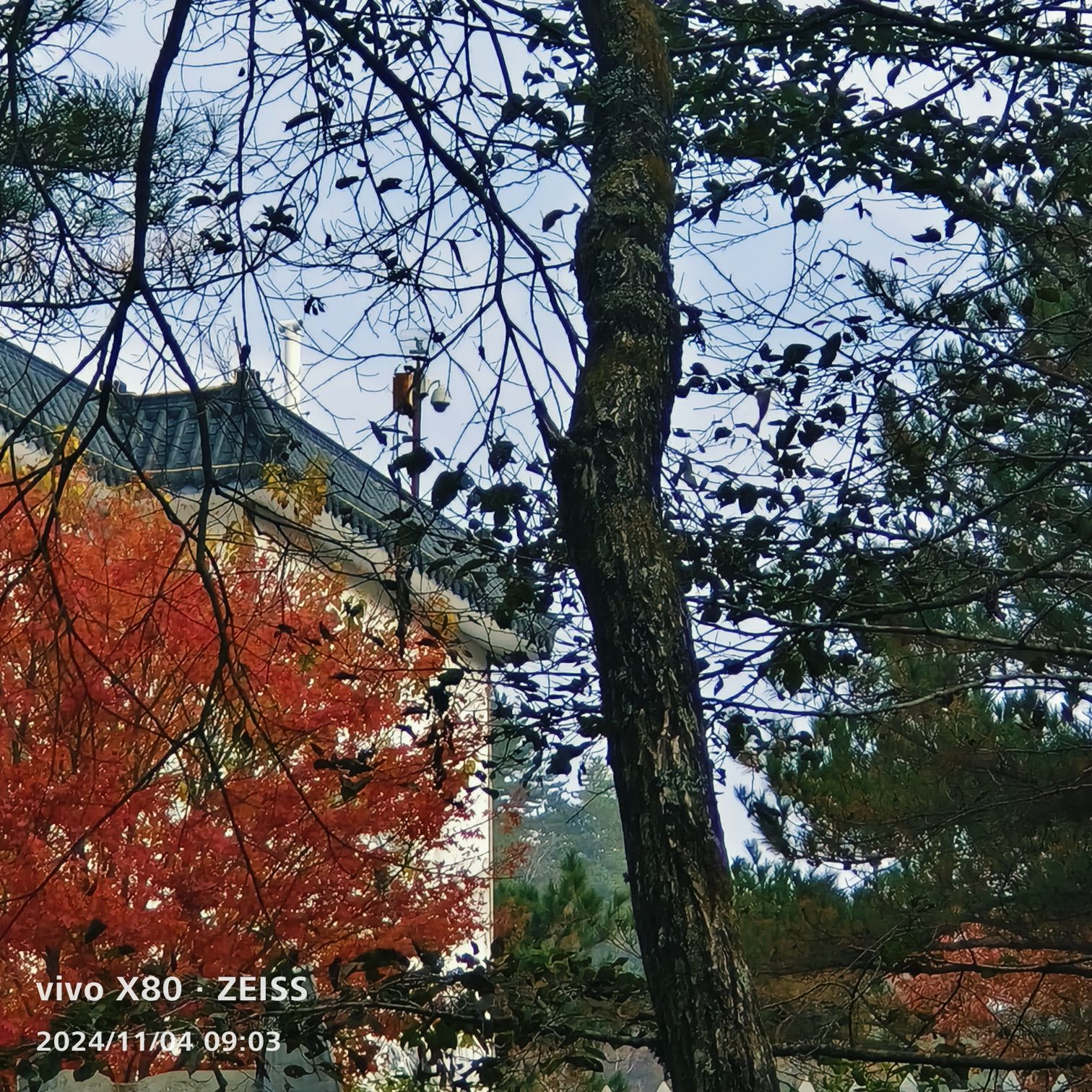 鹞落坪红叶谷旅行图片 3