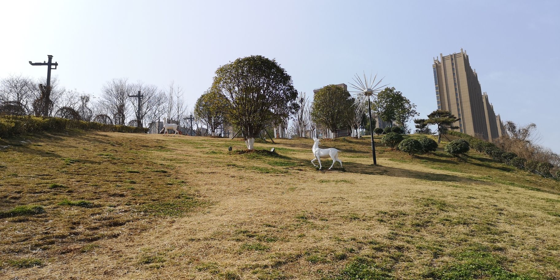 羊山公园