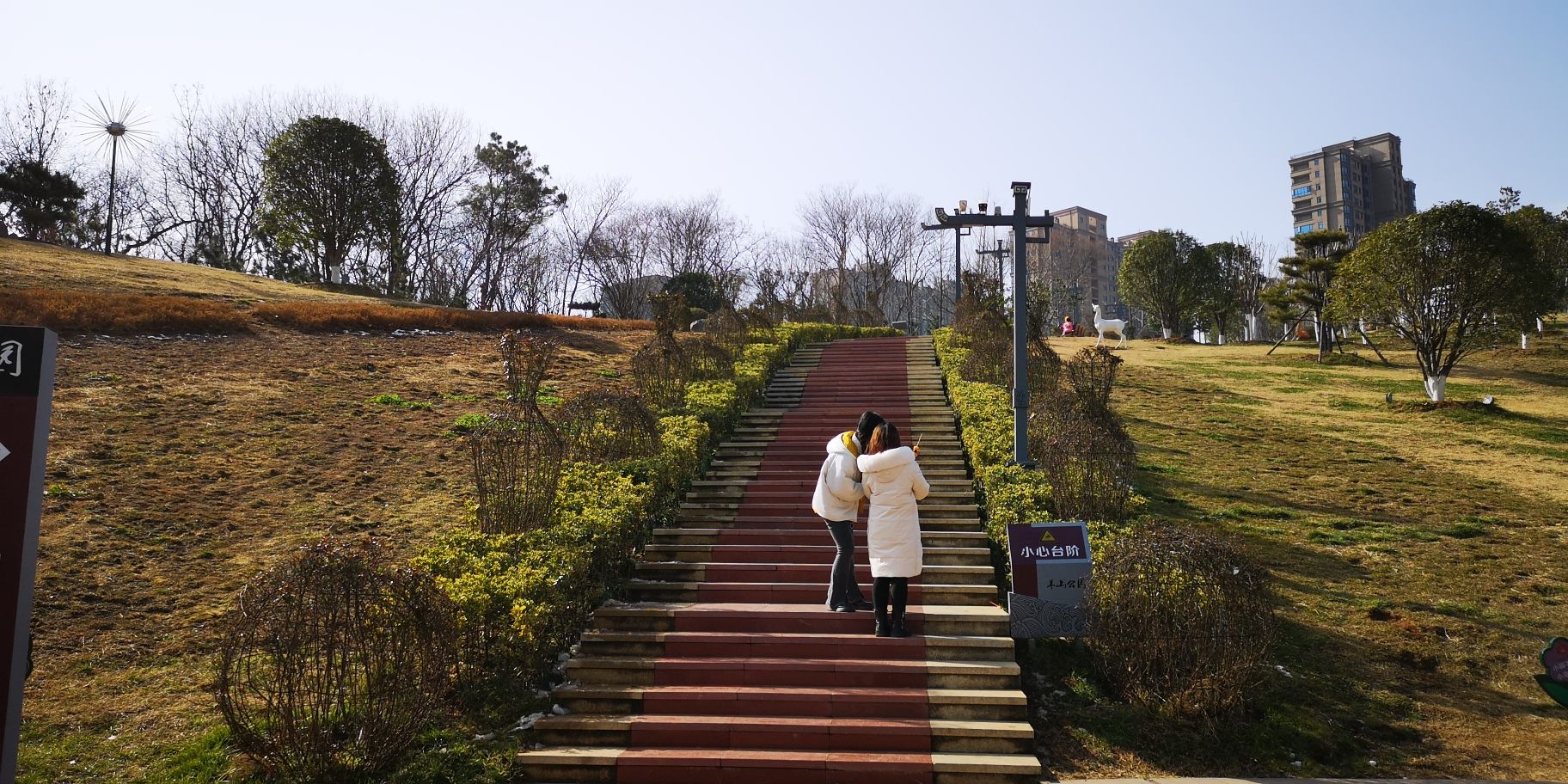 羊山公园旅行图片 3