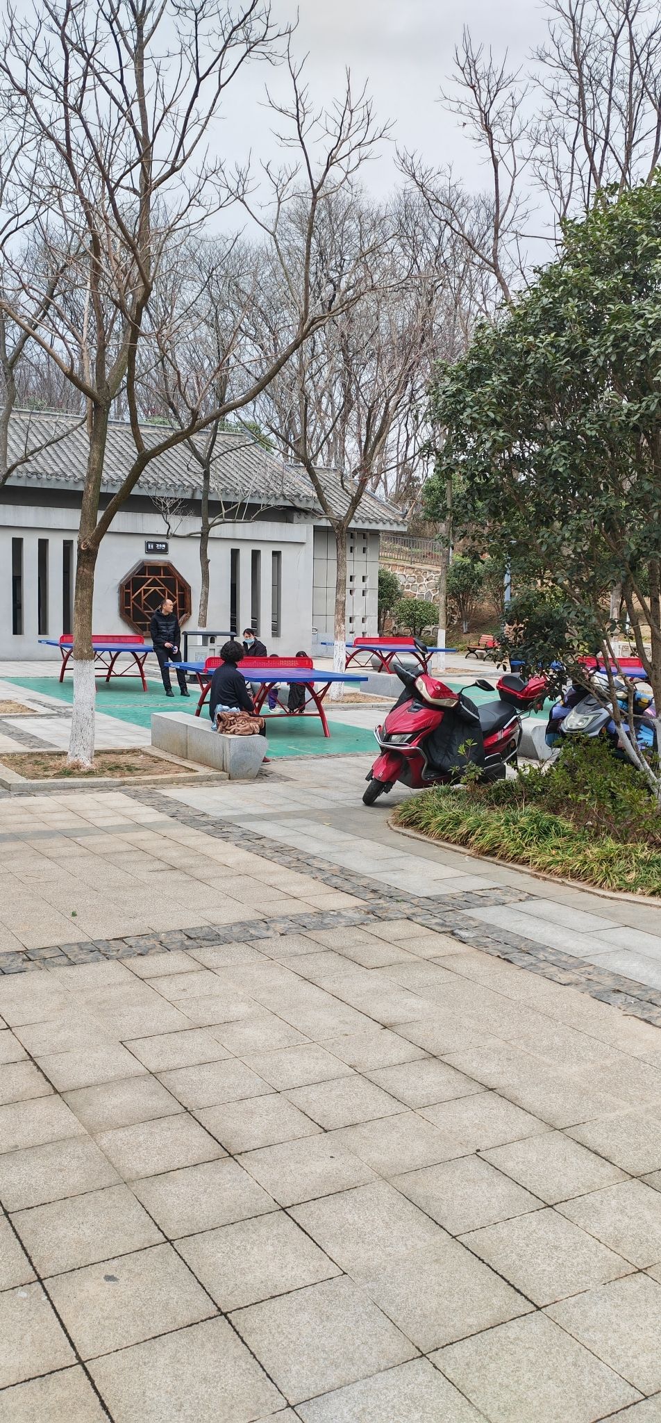 羊山公园旅行图片 2