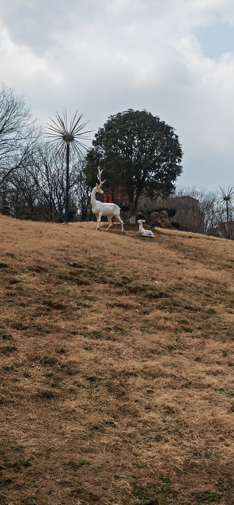 羊山公园旅行图片 1