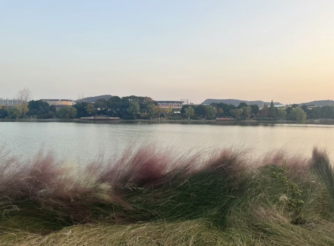 羊山公园旅行图片 2