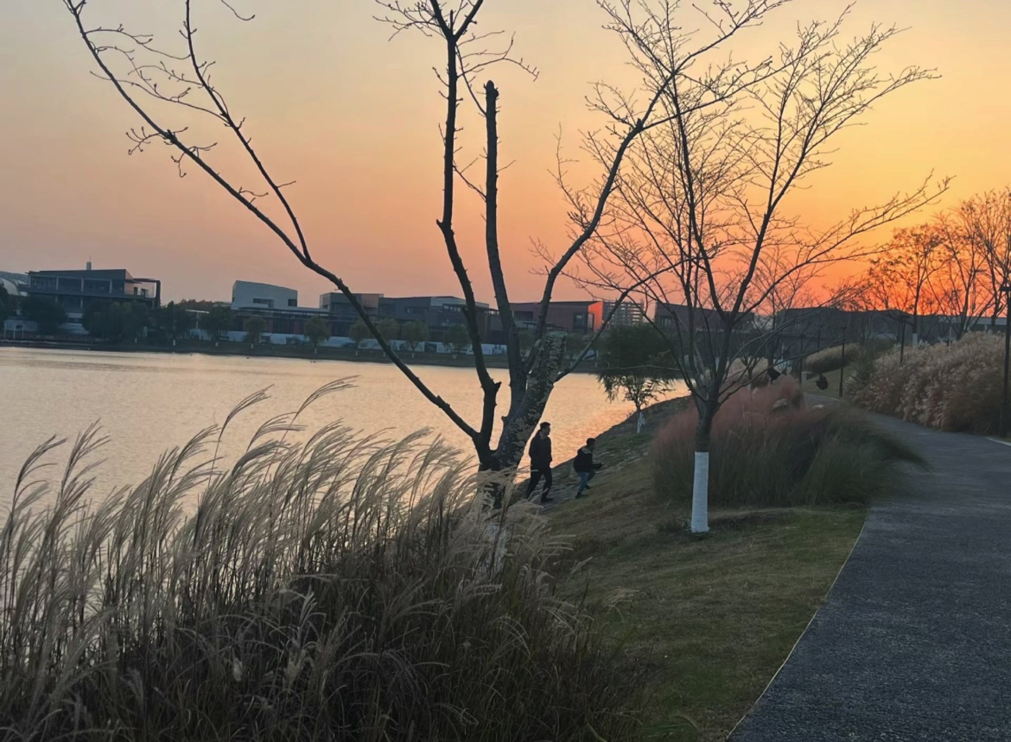 羊山公园旅行图片 1