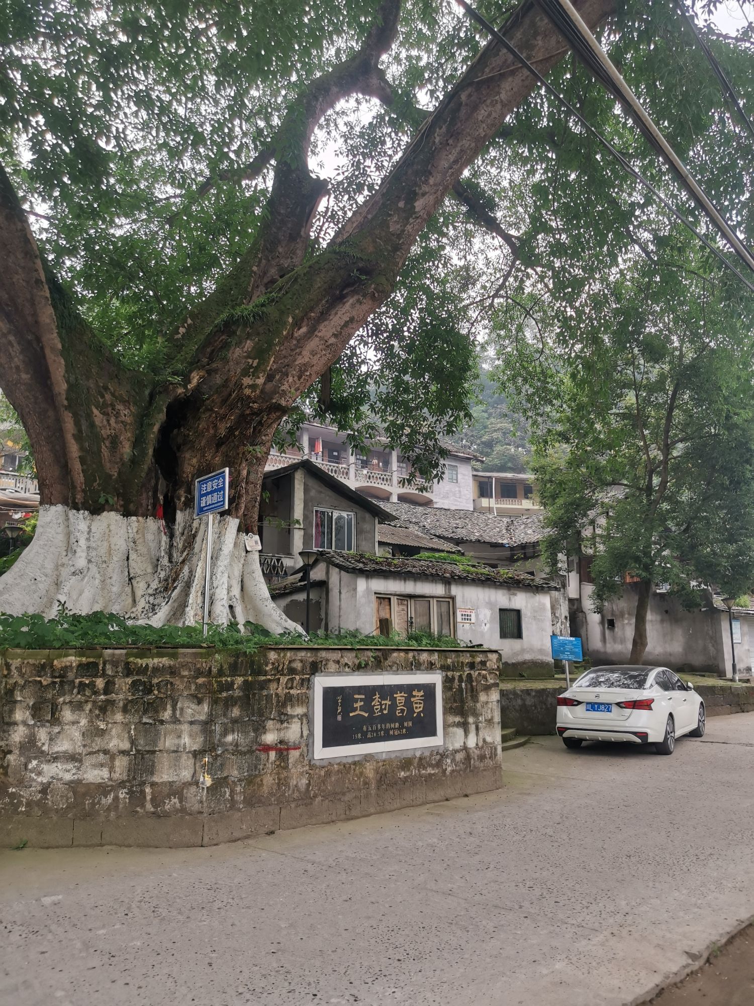 五通桥古镇旅行图片 1