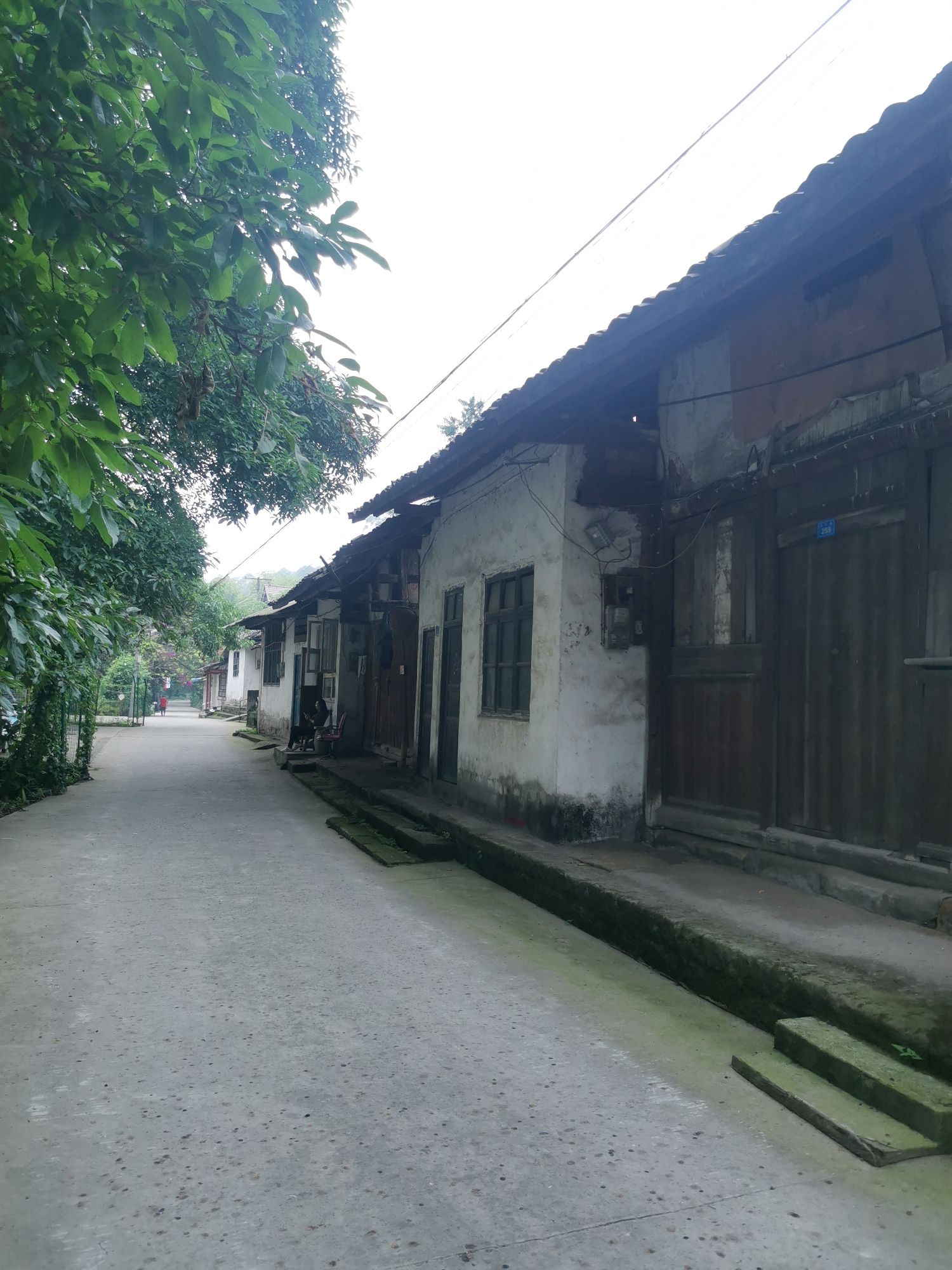 五通桥古镇旅行图片 2