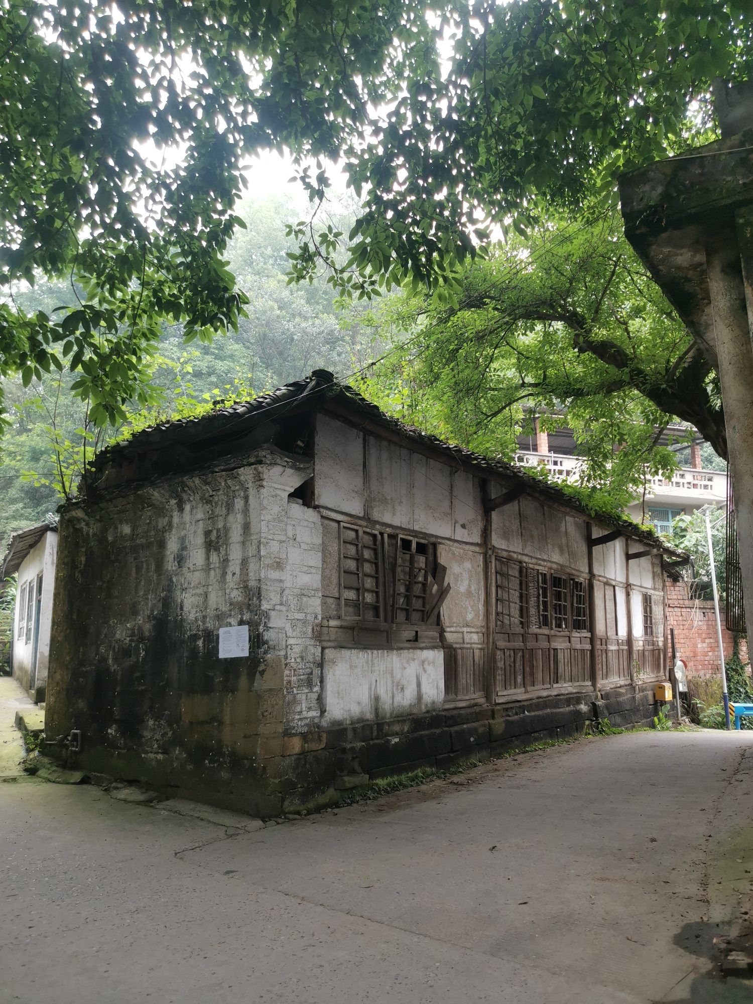 五通桥古镇旅行图片 3