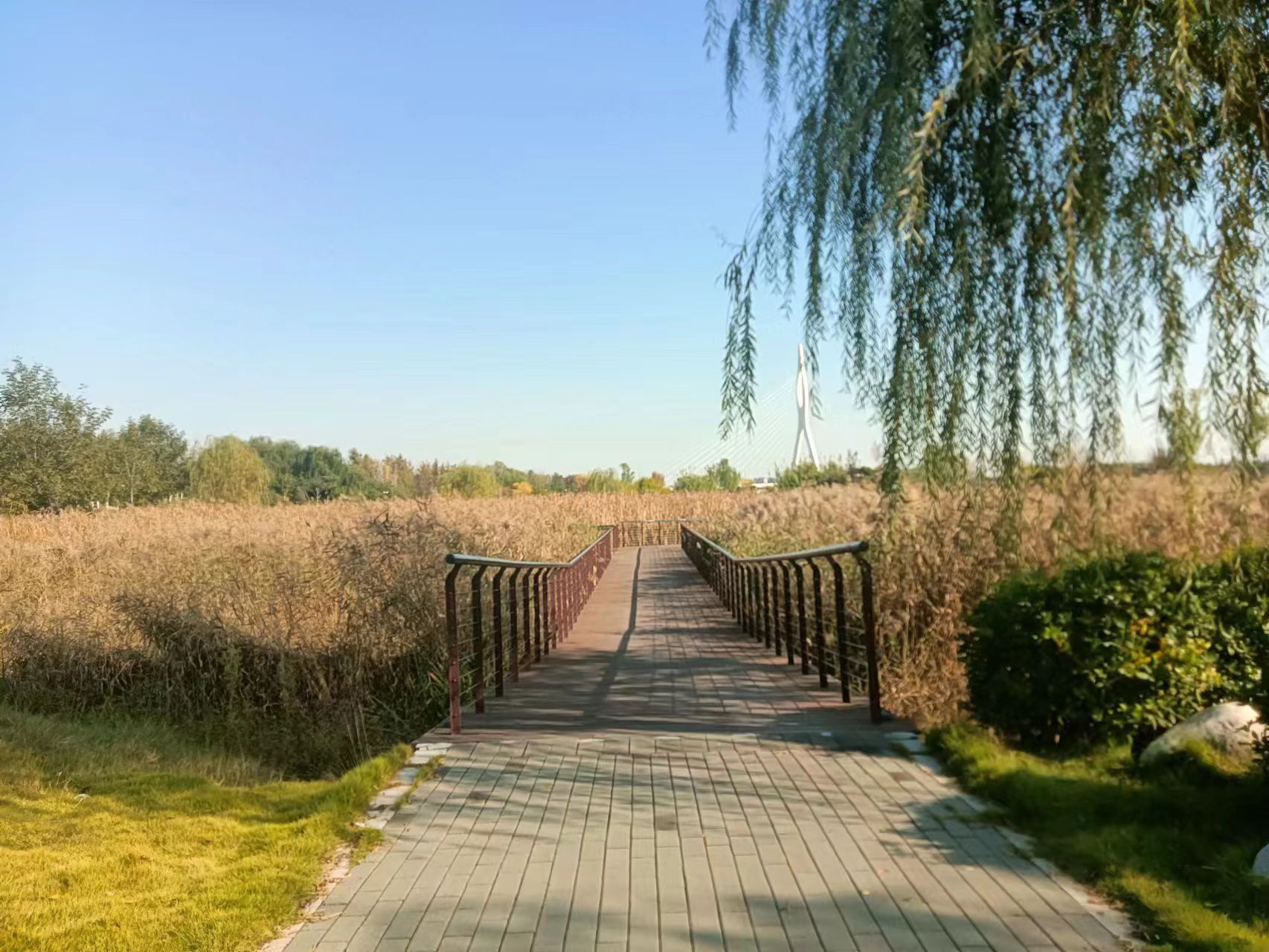 大沙河七星公园旅行图片 2