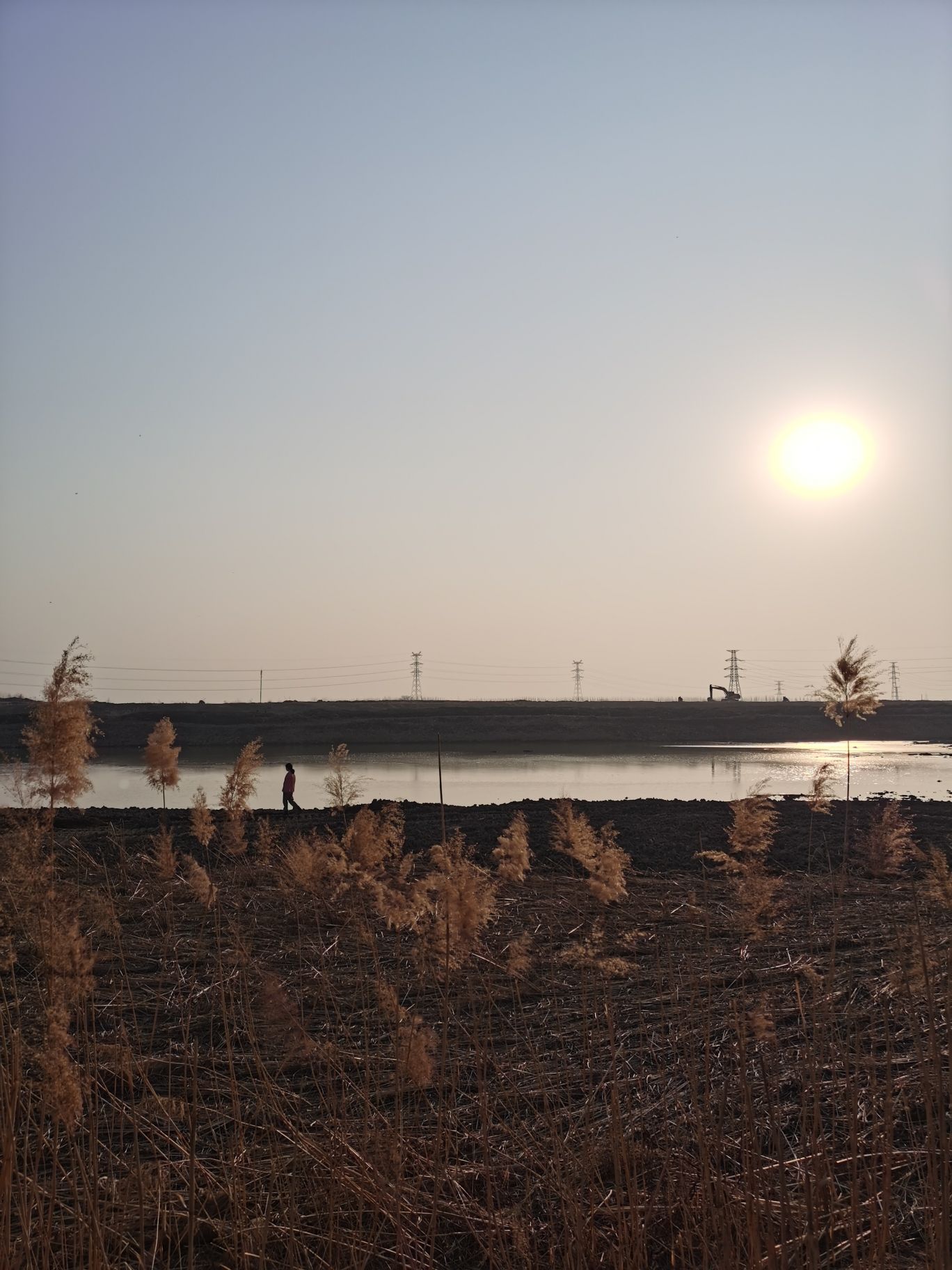 大沙河七星公园旅行图片 1