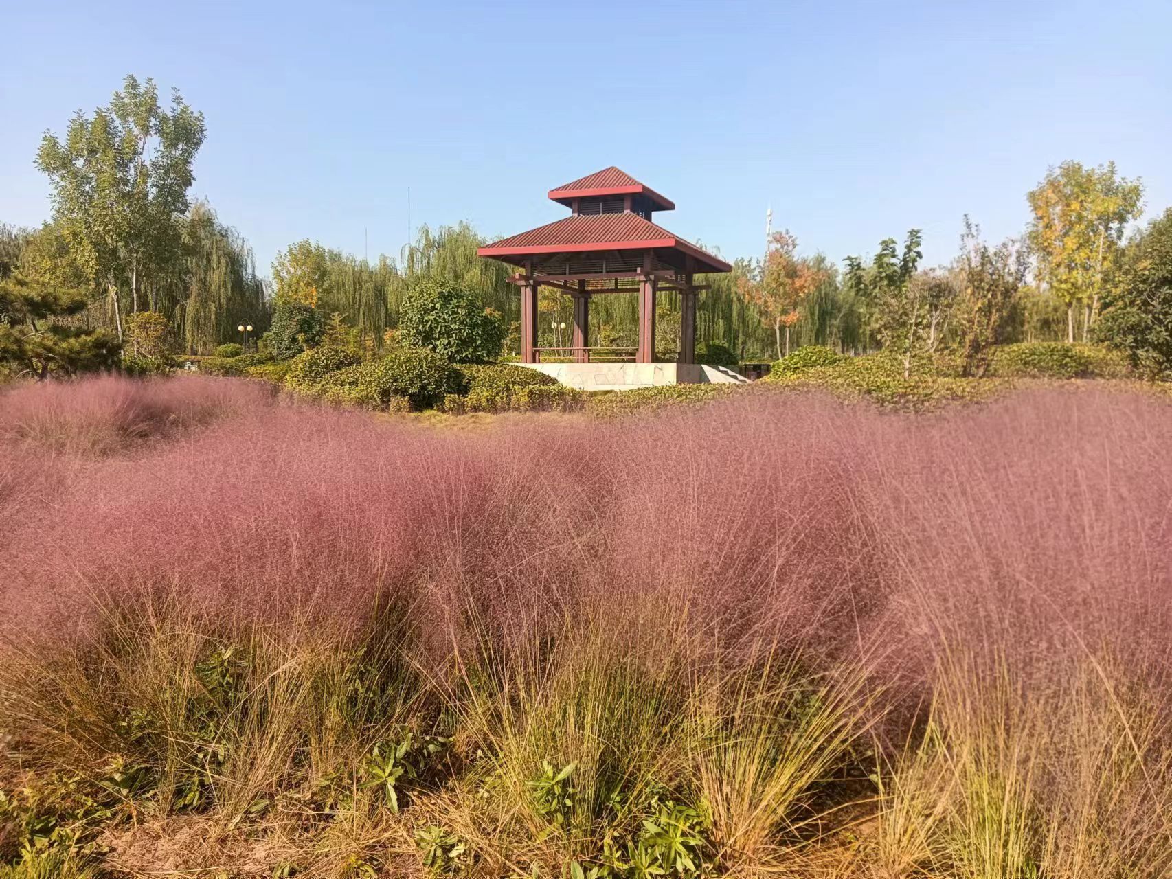 大沙河七星公园旅行图片 1