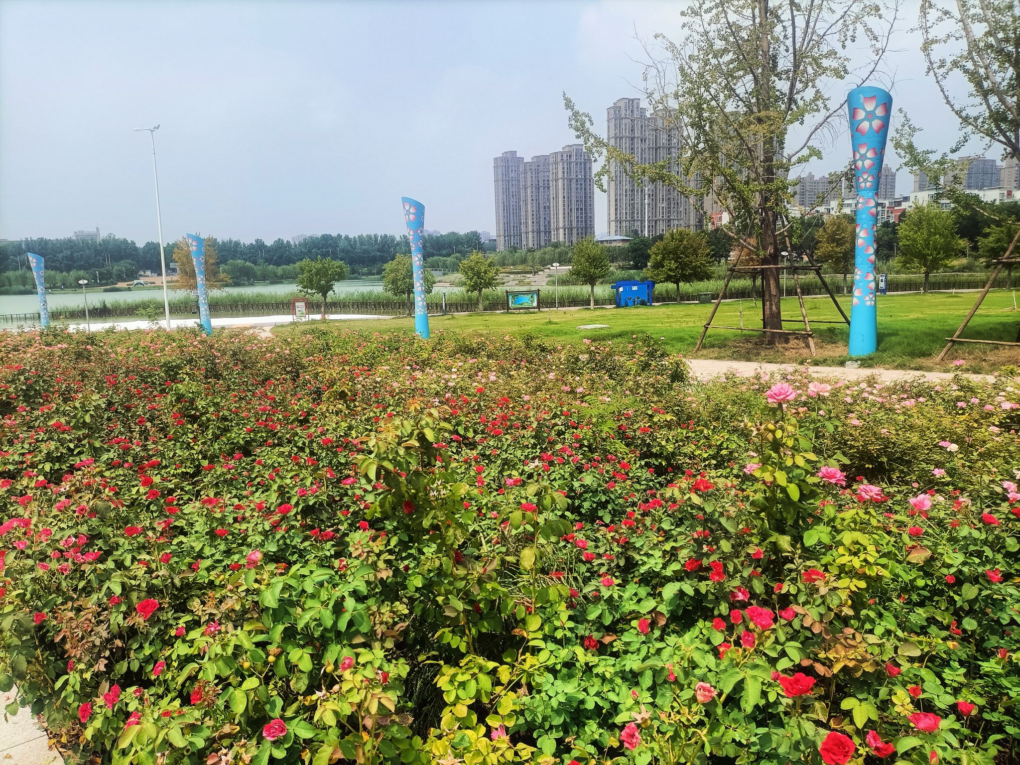 大沙河七星公园旅行图片 2
