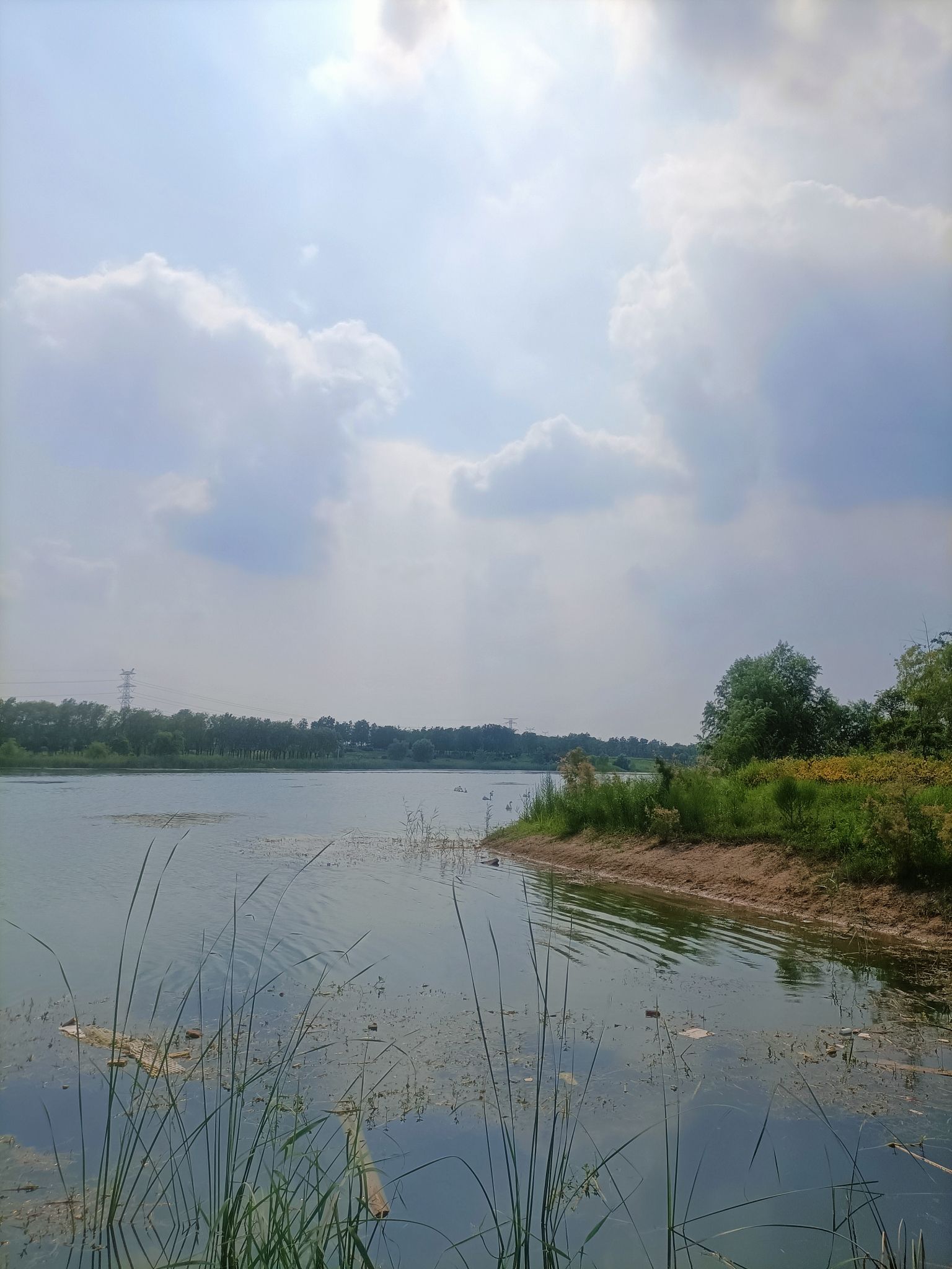 大沙河七星公园旅行图片 3