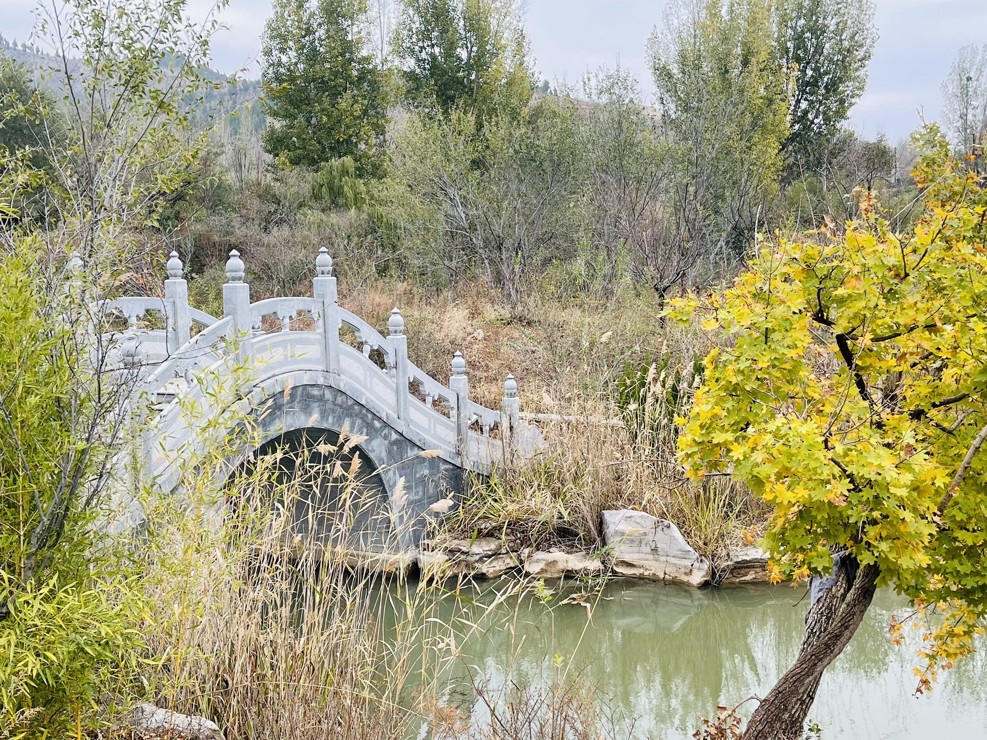 红叶小镇旅行图片 2